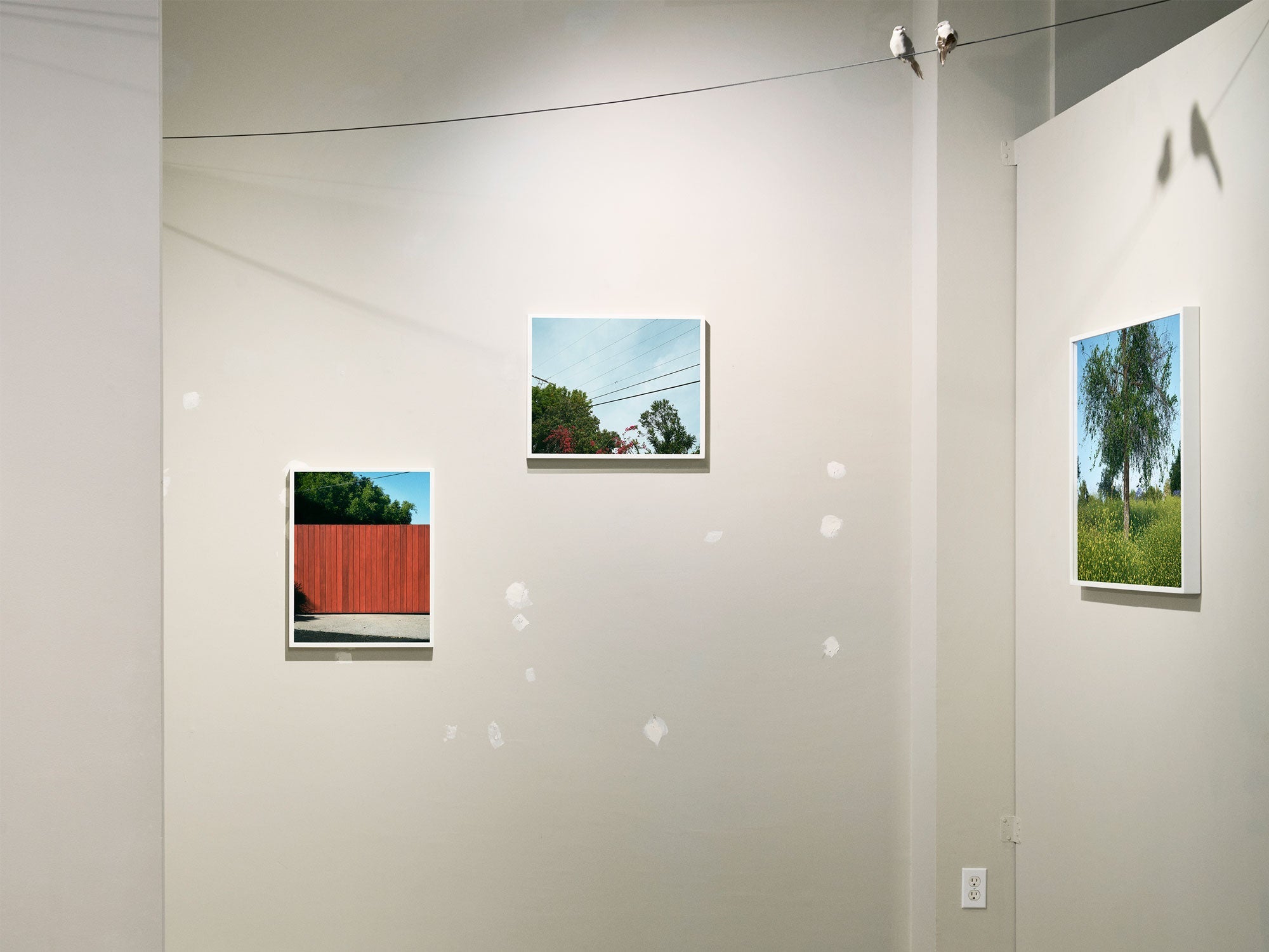 Emily Shur - Sunshine Terrace