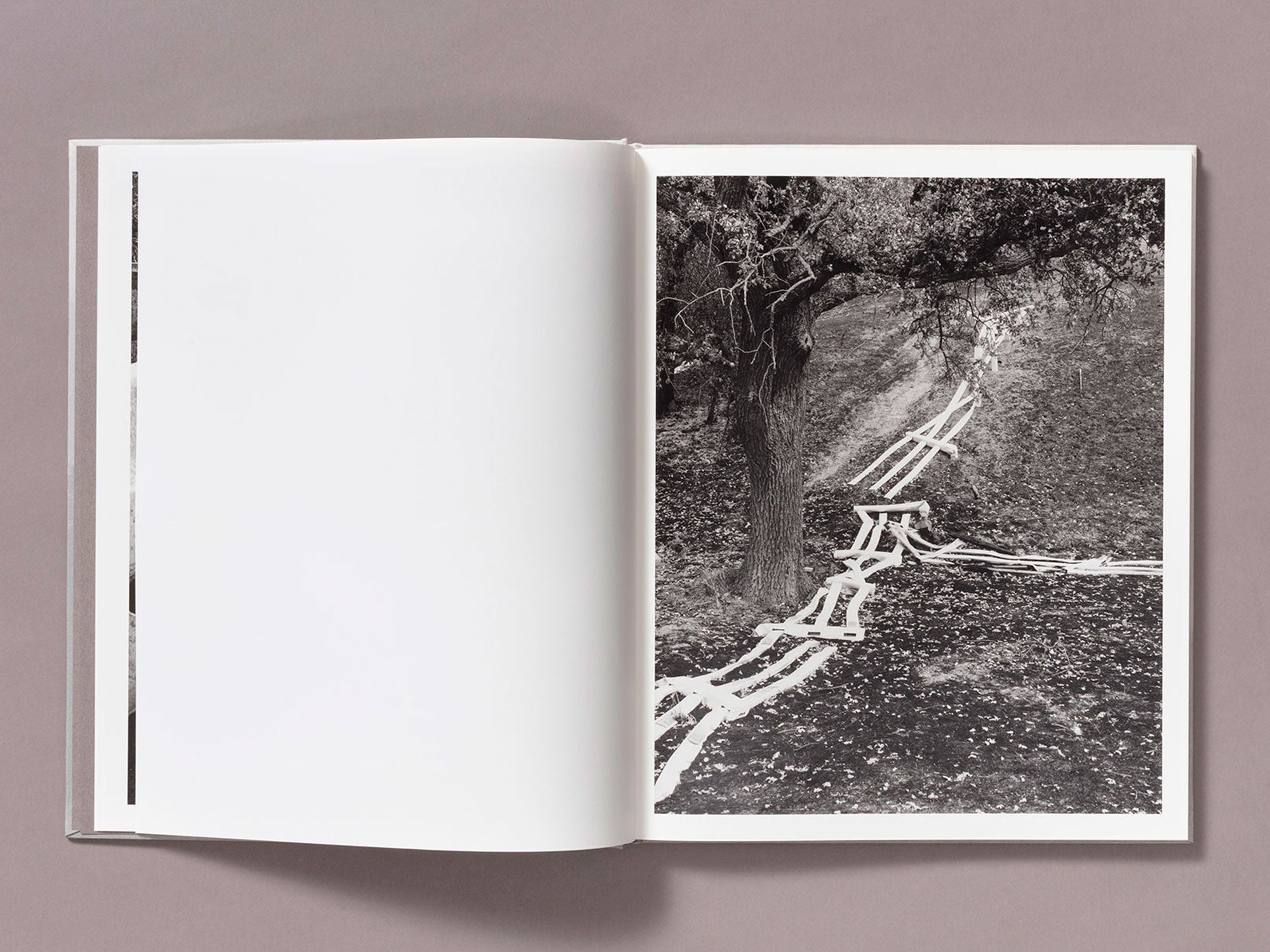 Special Edition / The Weight Of Ash - Ian Bates