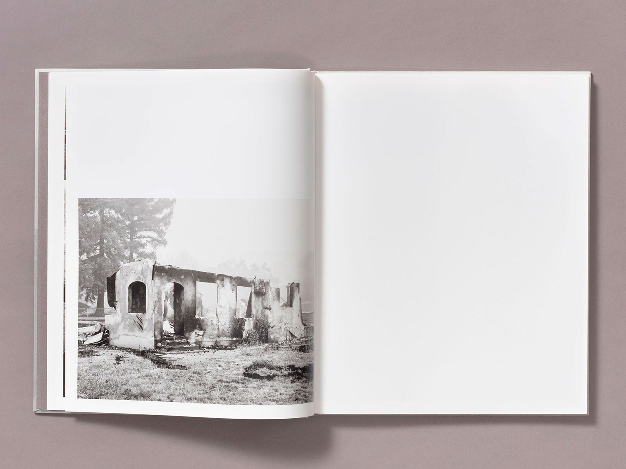 Special Edition / The Weight Of Ash - Ian Bates