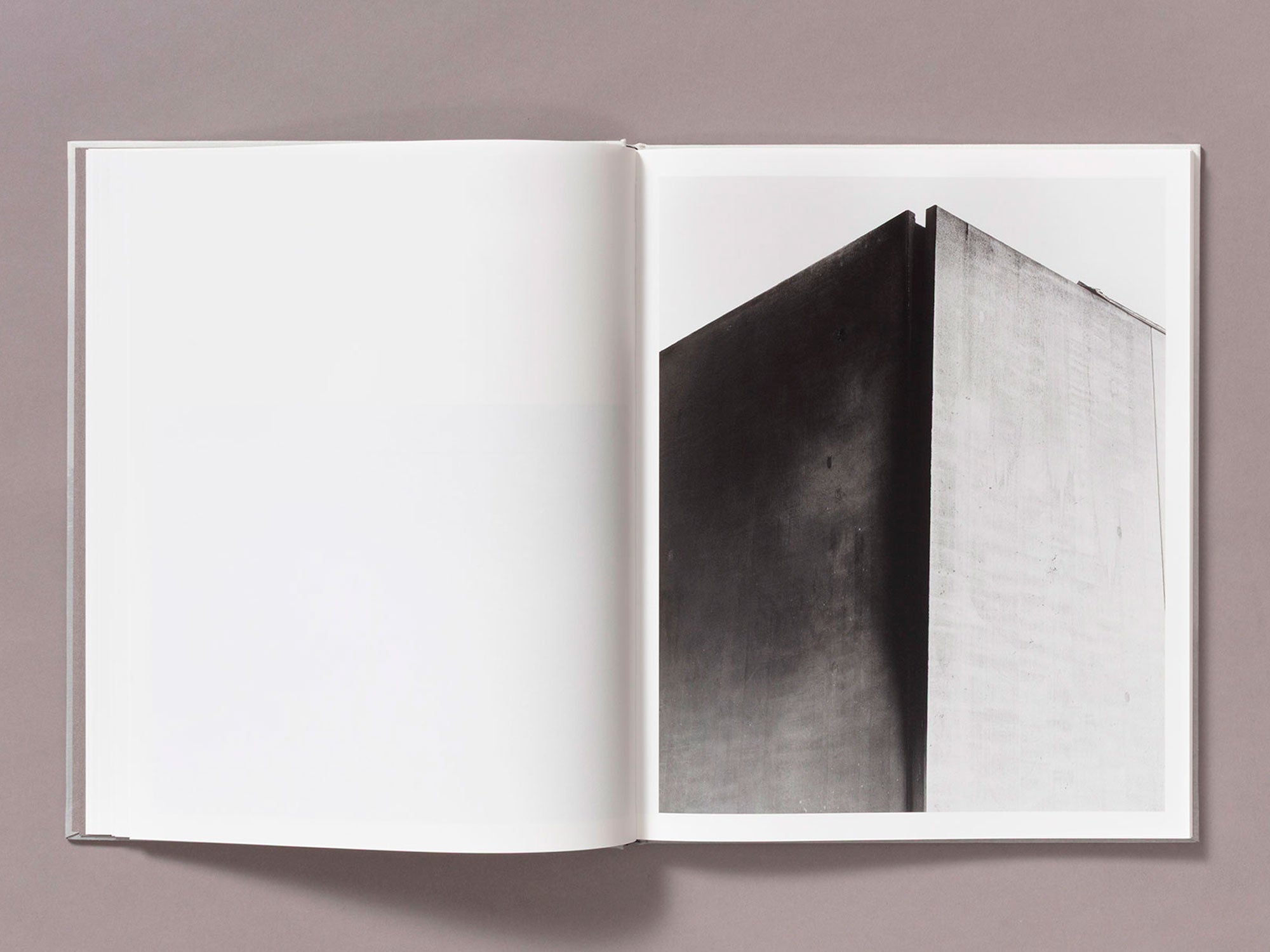 Special Edition / The Weight Of Ash - Ian Bates