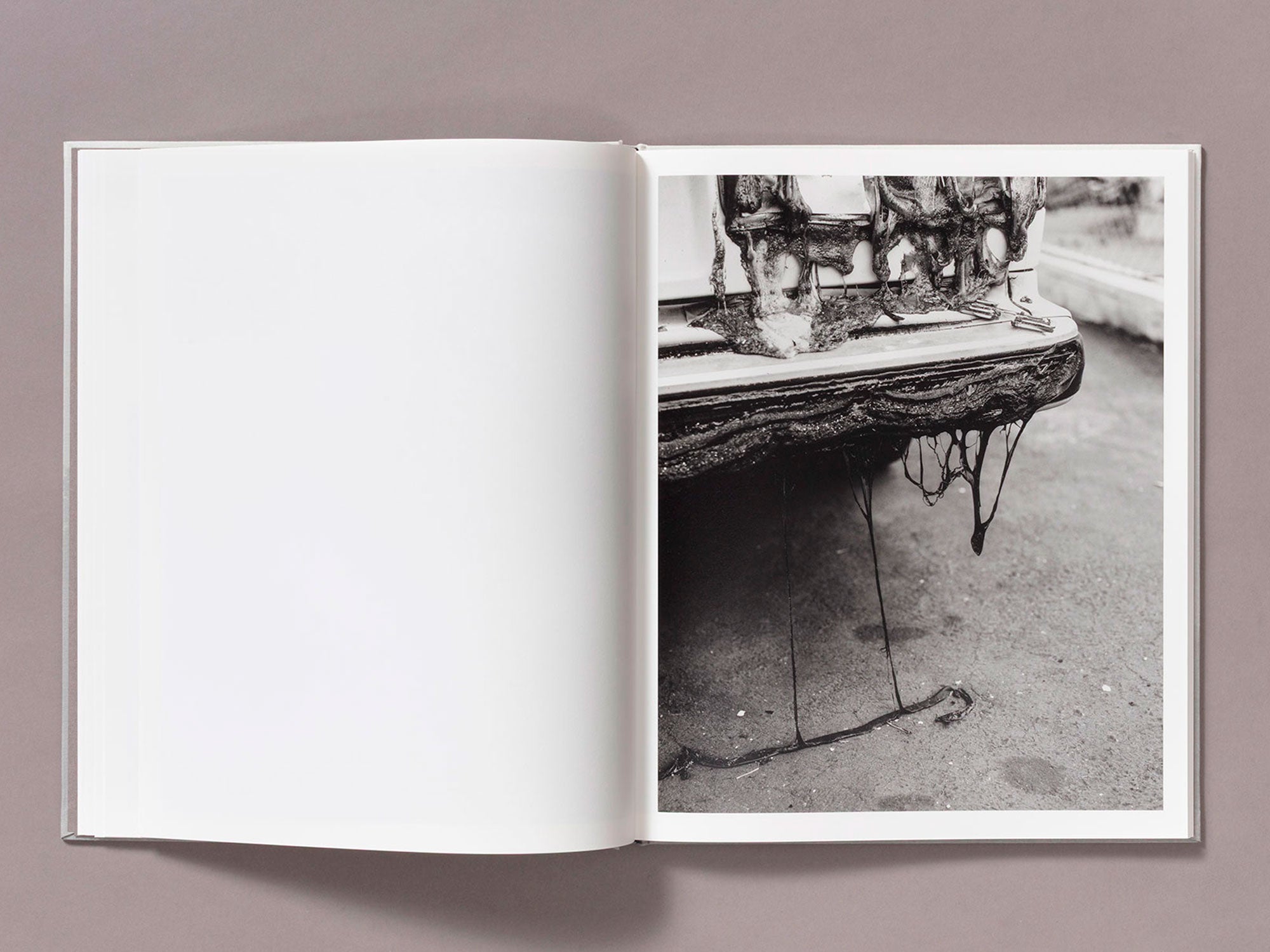 Special Edition / The Weight Of Ash - Ian Bates