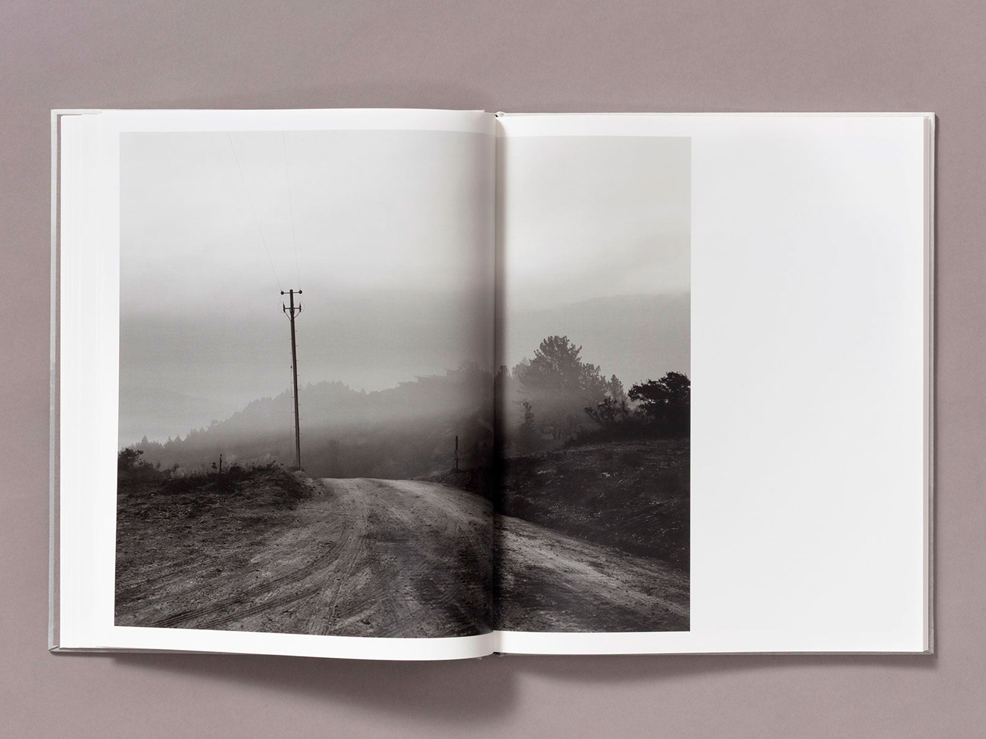 Special Edition / The Weight Of Ash - Ian Bates