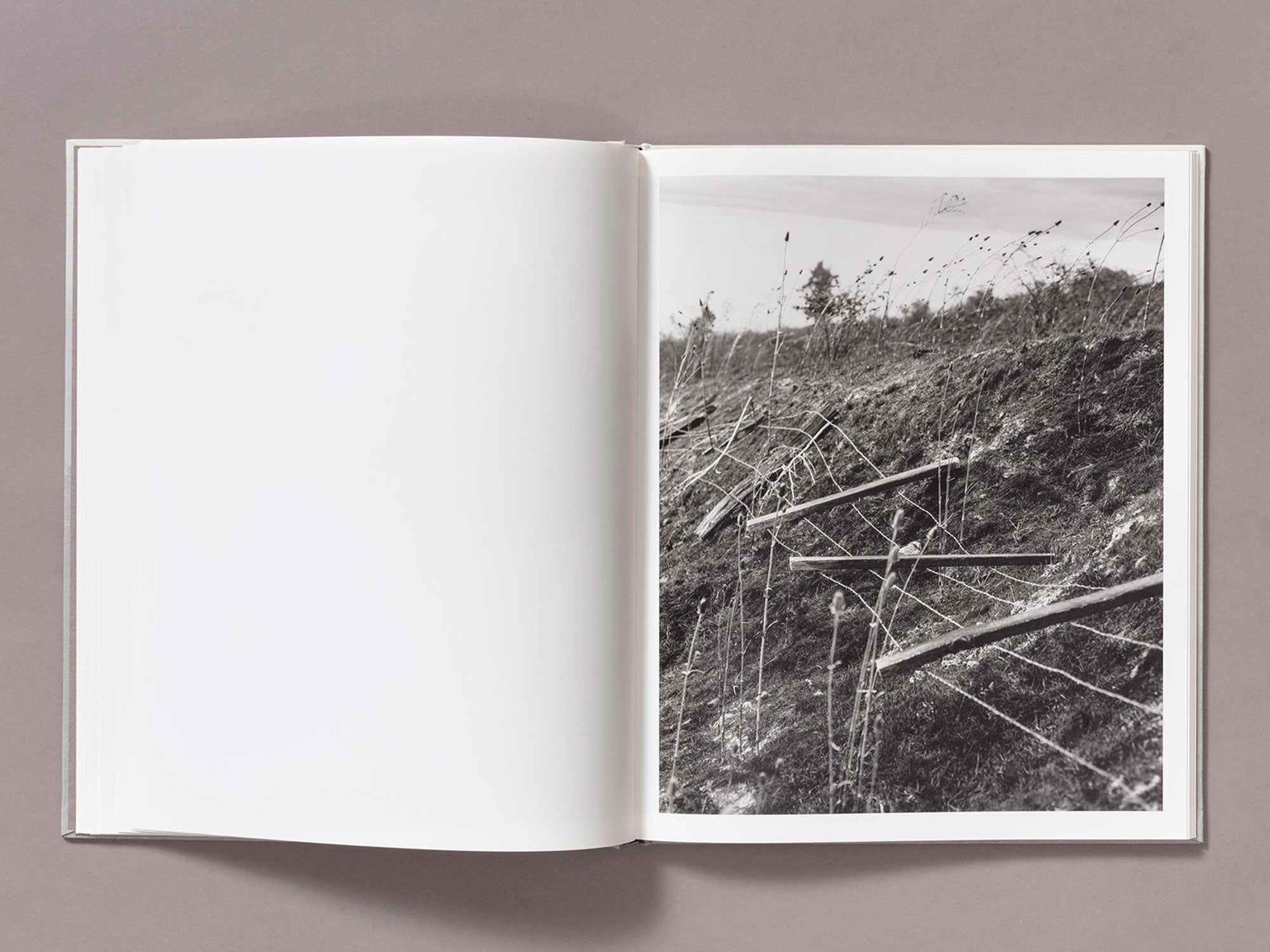 Special Edition / The Weight Of Ash - Ian Bates