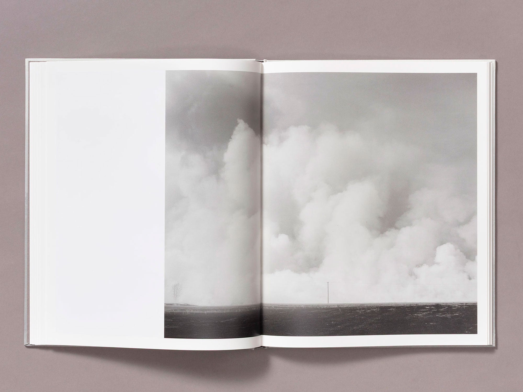 Special Edition / The Weight Of Ash - Ian Bates