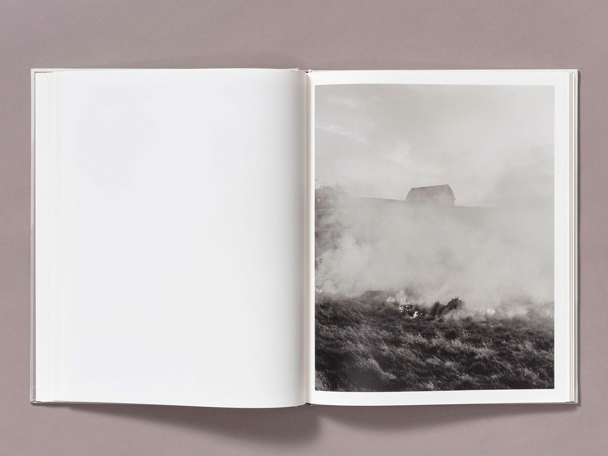 Special Edition / The Weight Of Ash - Ian Bates