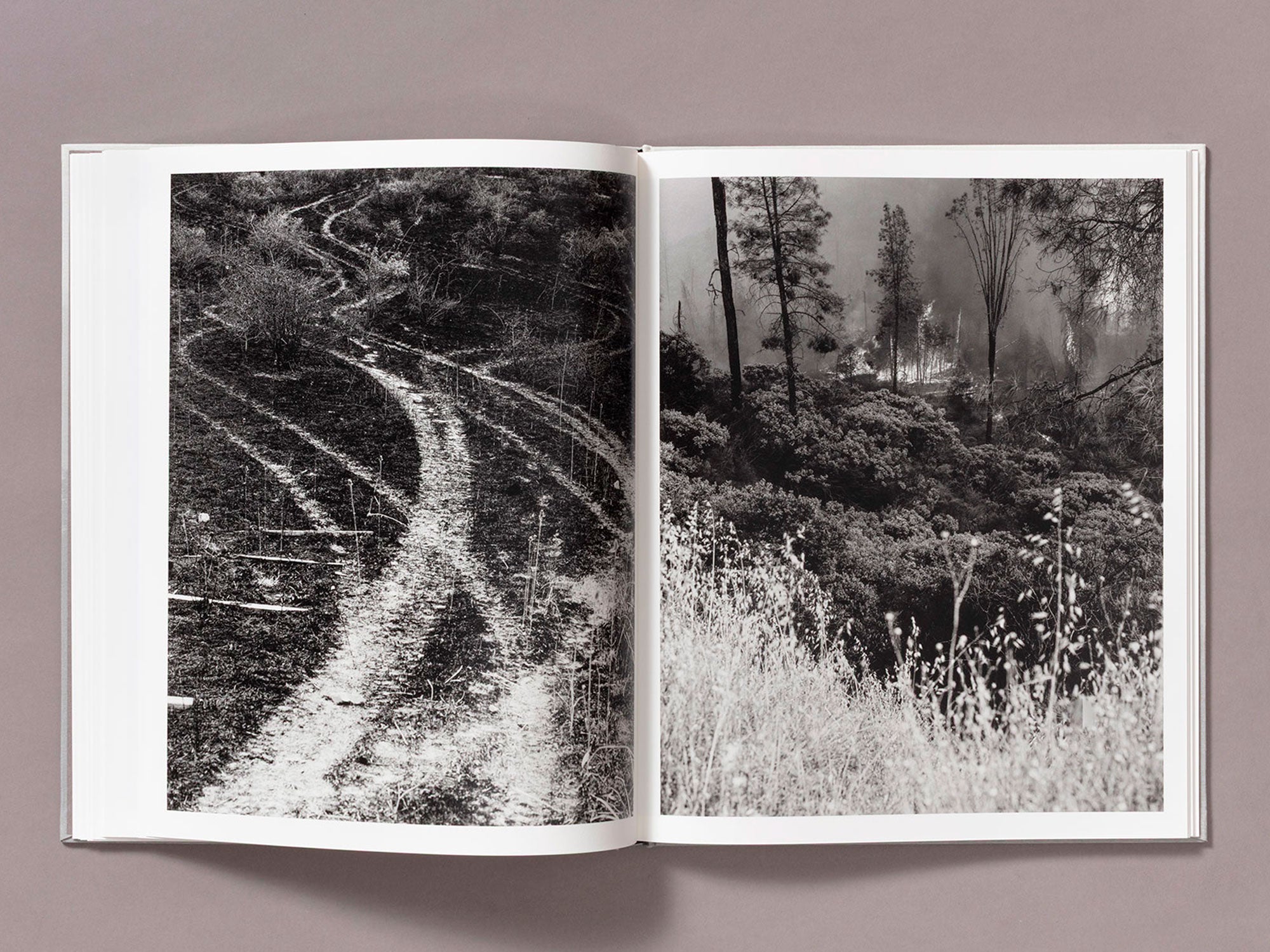 Special Edition / The Weight Of Ash - Ian Bates