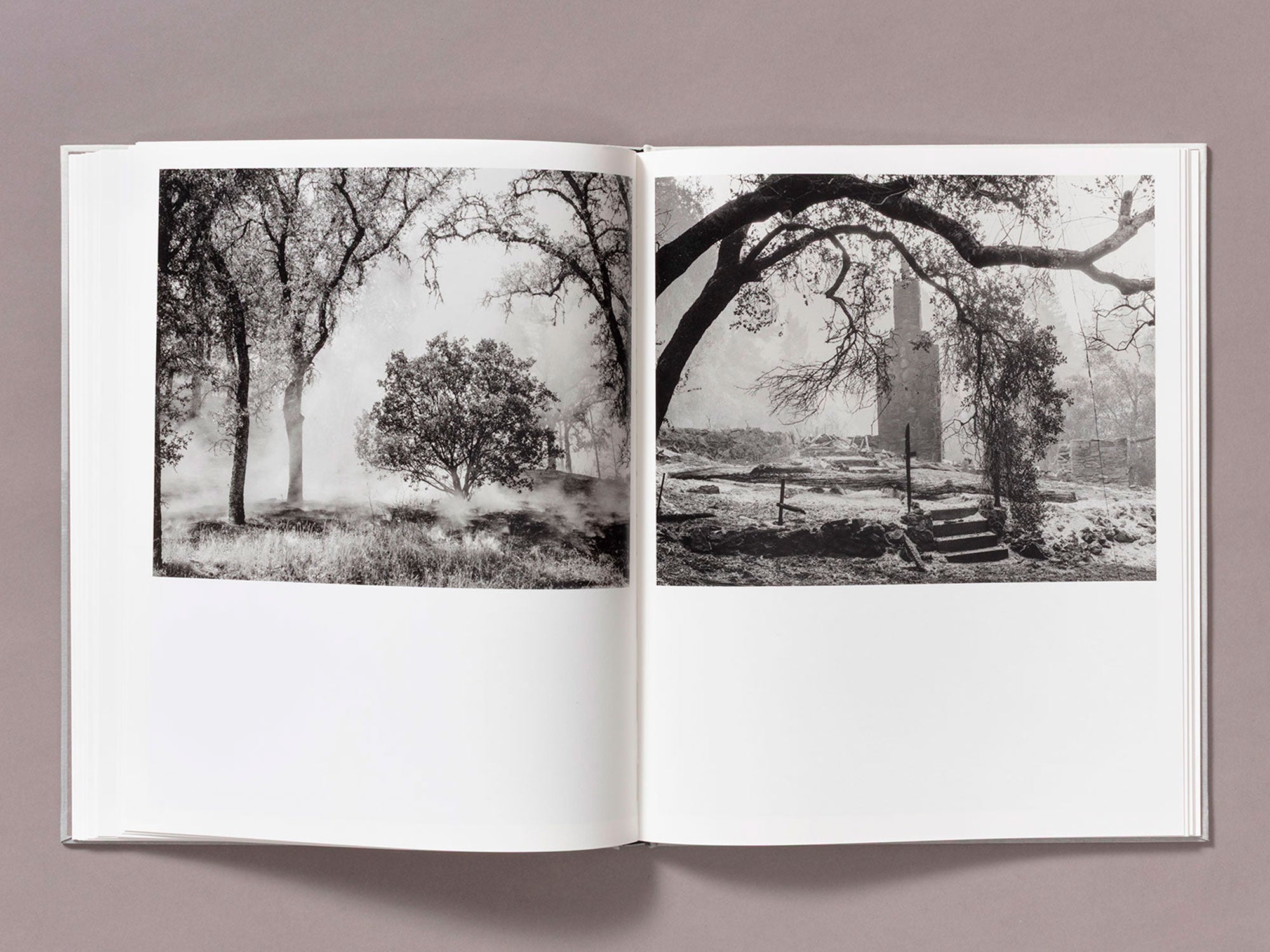 Special Edition / The Weight Of Ash - Ian Bates