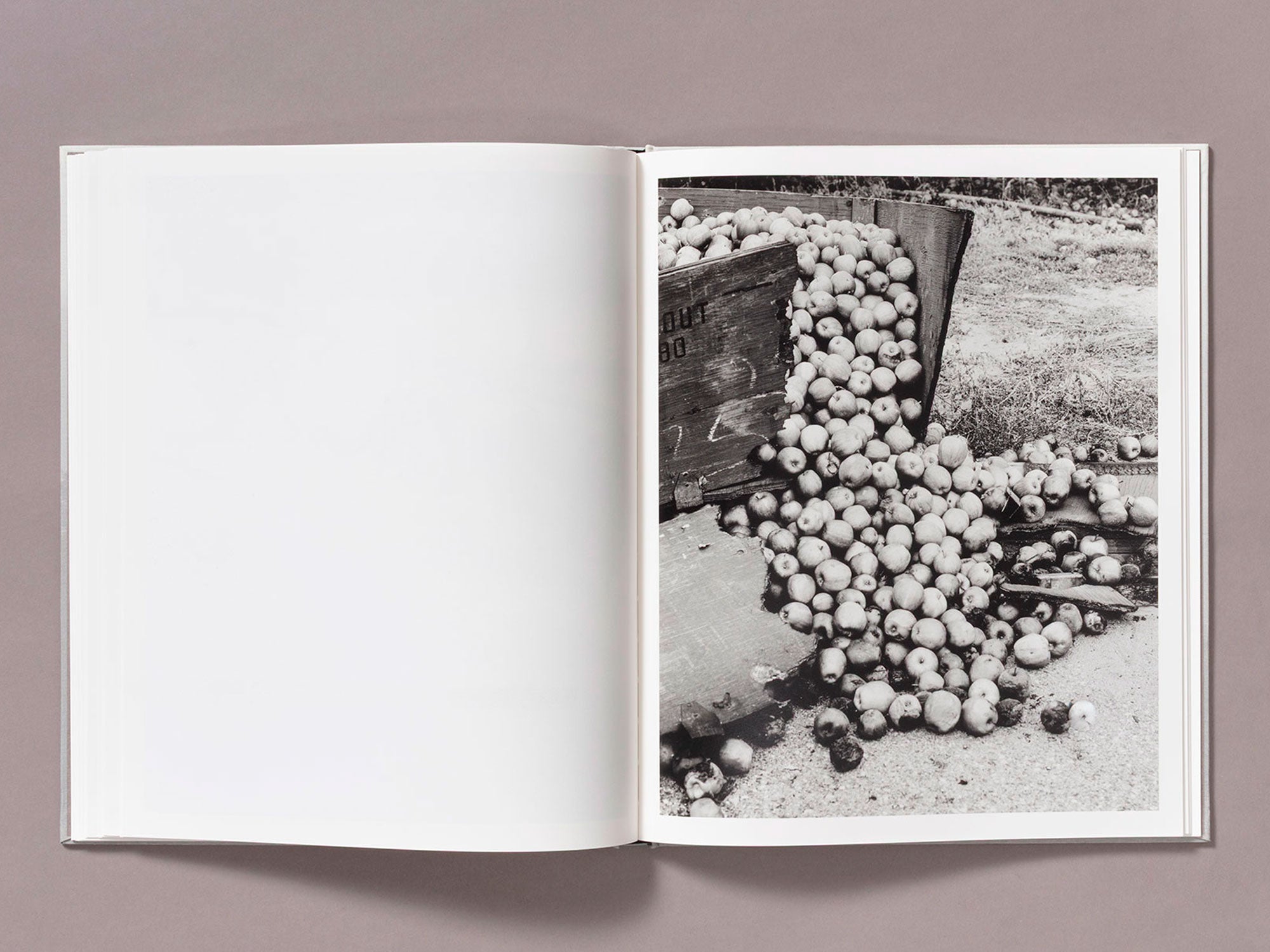 Special Edition / The Weight Of Ash - Ian Bates