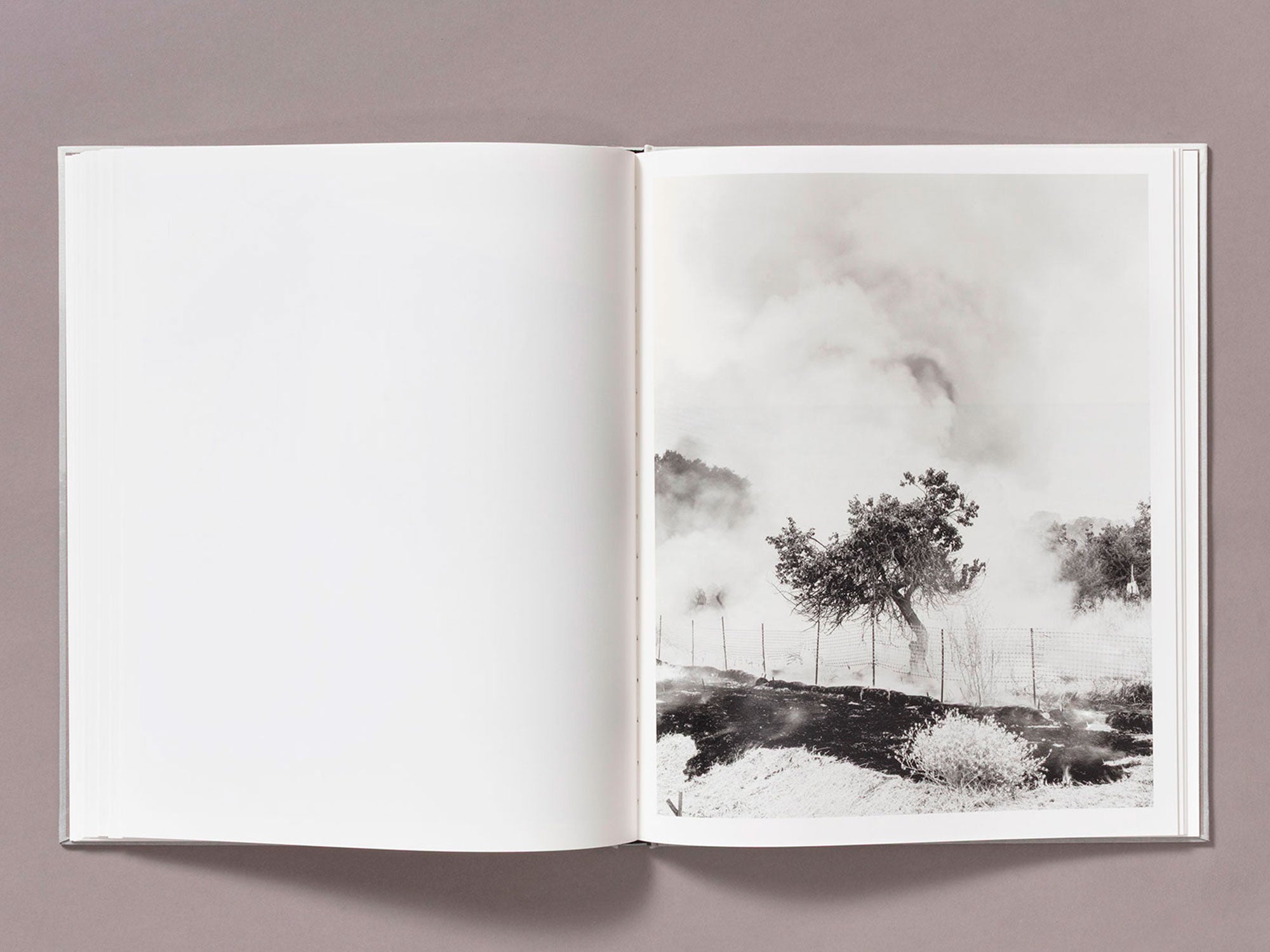 Special Edition / The Weight Of Ash - Ian Bates