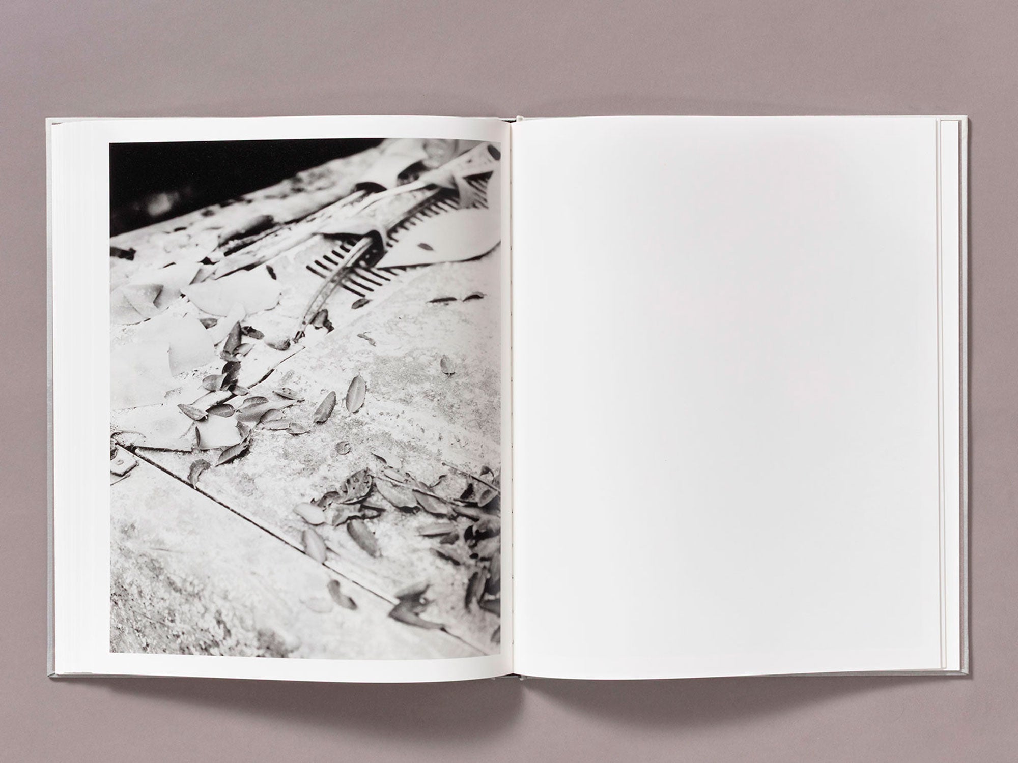 Special Edition / The Weight Of Ash - Ian Bates