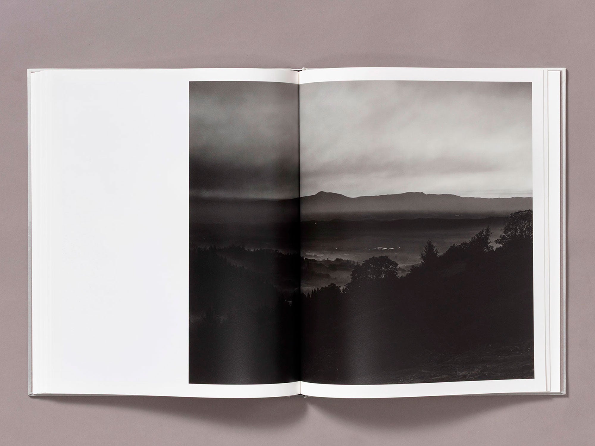 Special Edition / The Weight Of Ash - Ian Bates