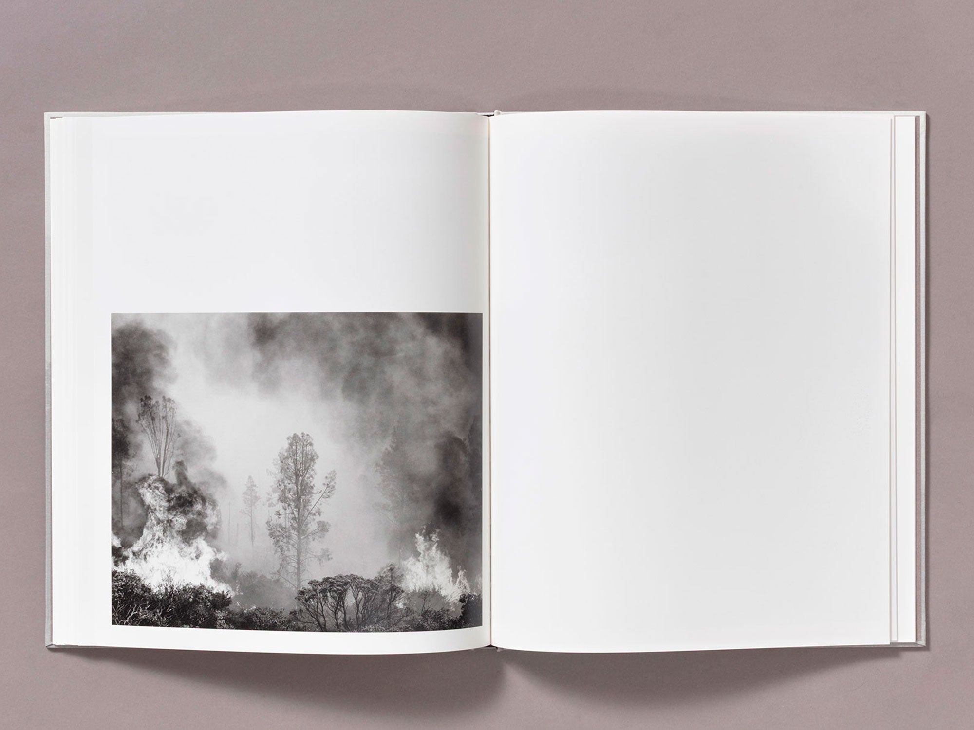 Special Edition / The Weight Of Ash - Ian Bates