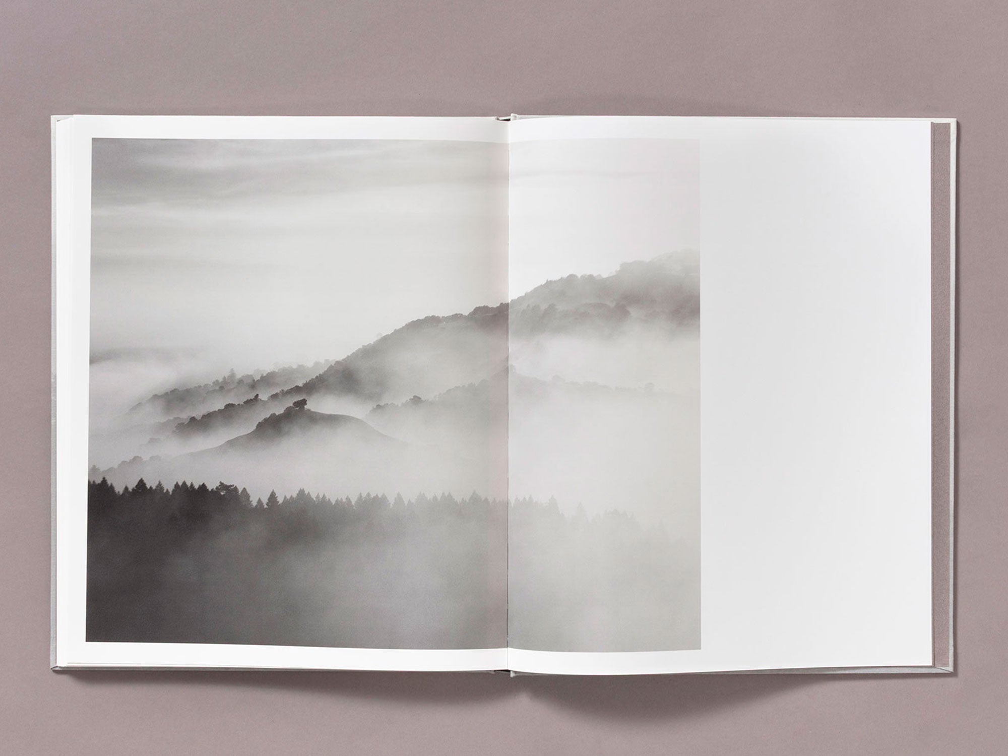 Special Edition / The Weight Of Ash - Ian Bates