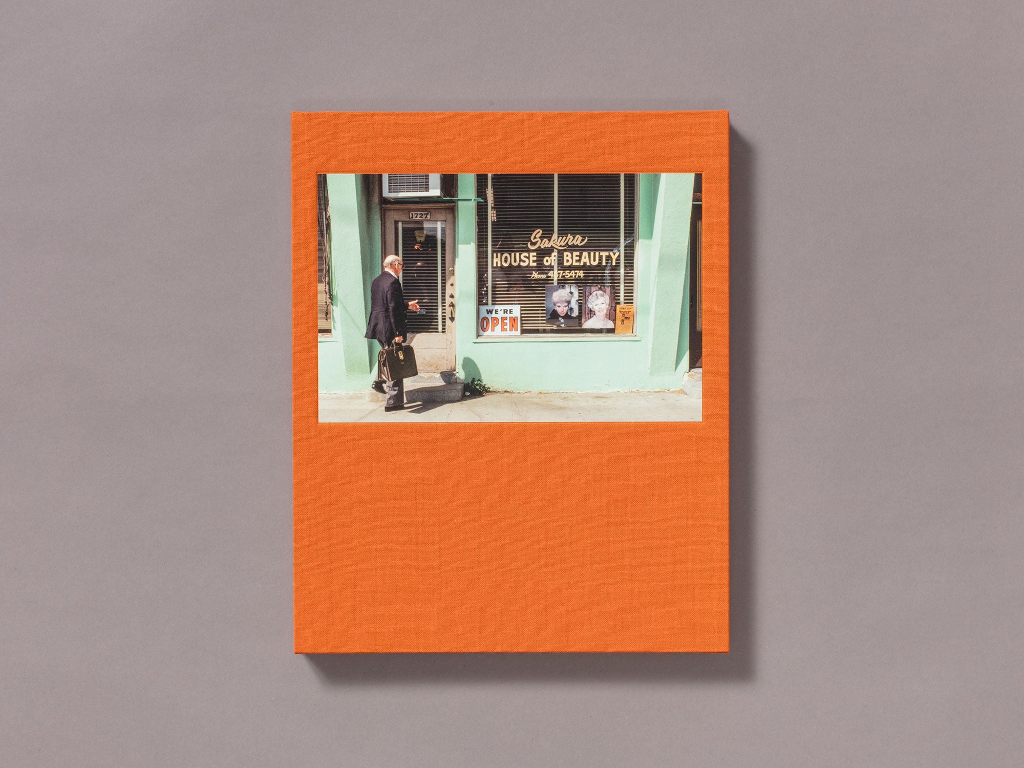 Special Edition / Too Many Products Too Much Pressure - Janet Delaney