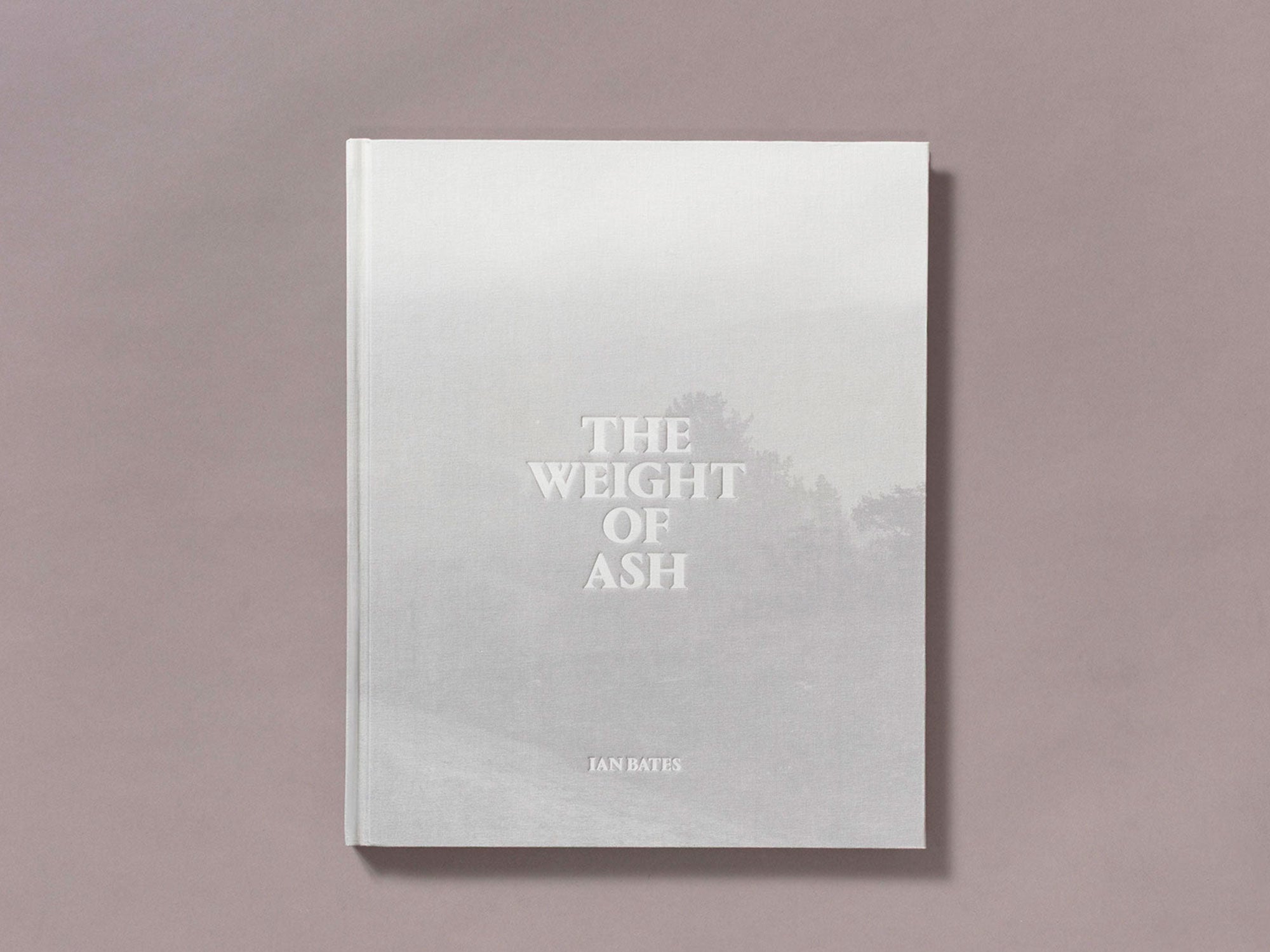 Special Edition / The Weight Of Ash - Ian Bates