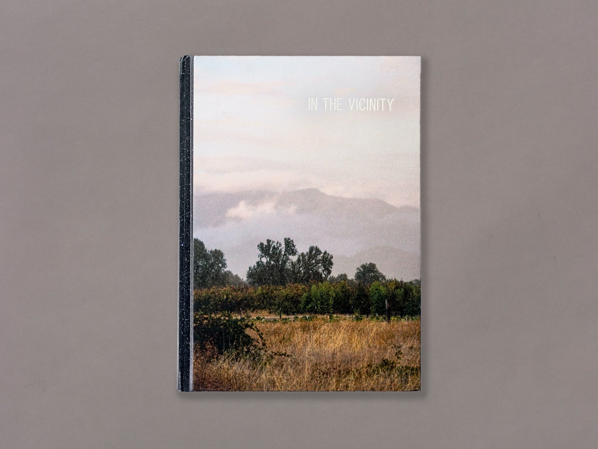 In The Vicinity - Ed Panar