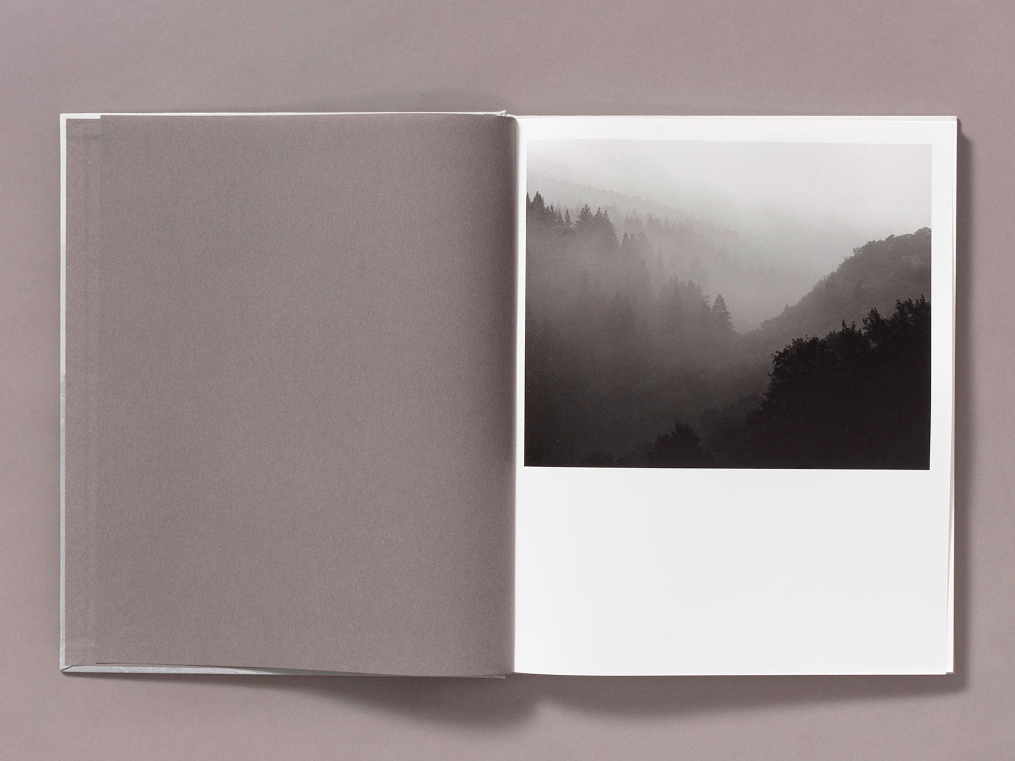 Special Edition / The Weight Of Ash - Ian Bates