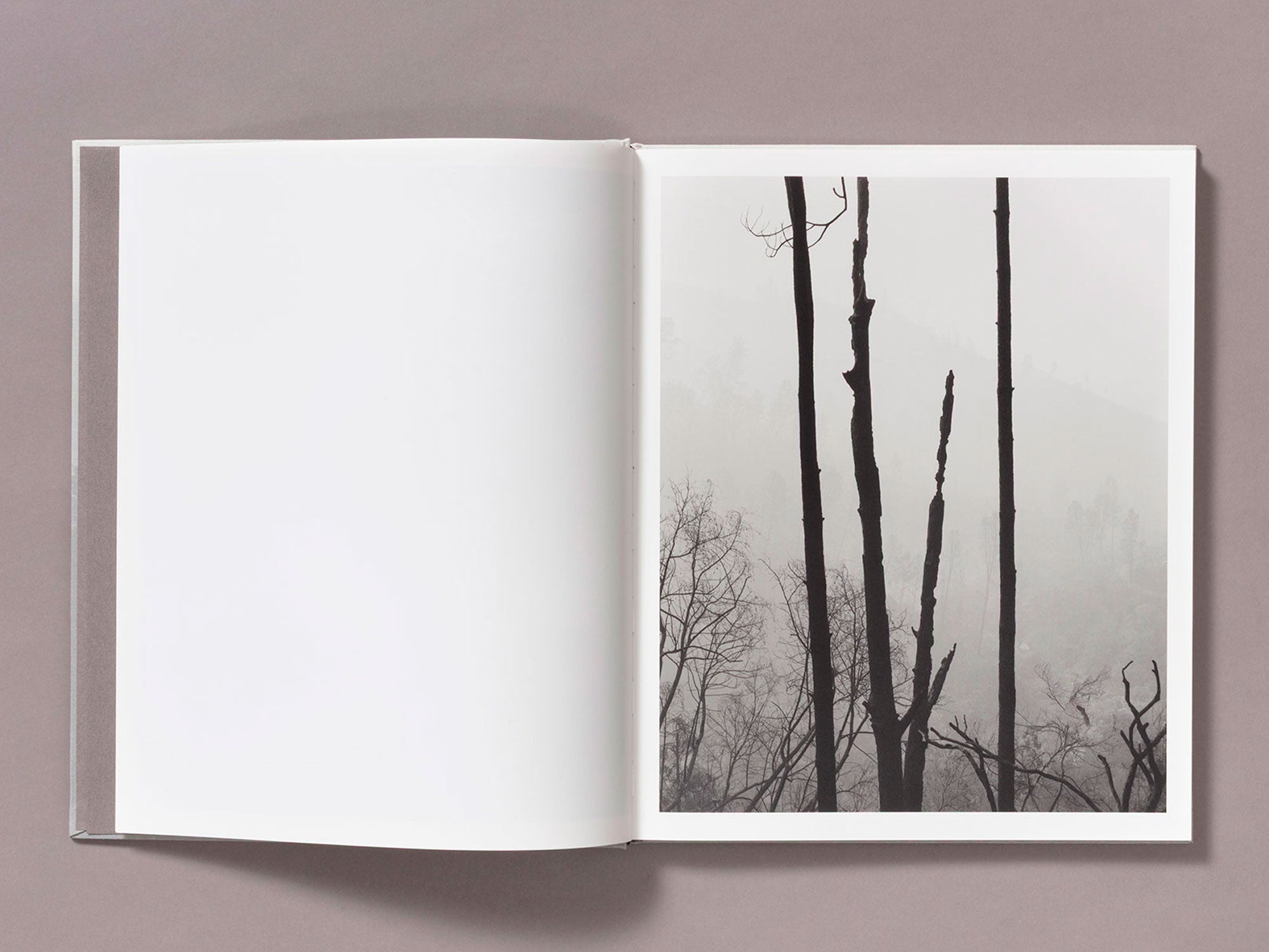 The Weight Of Ash - Ian Bates