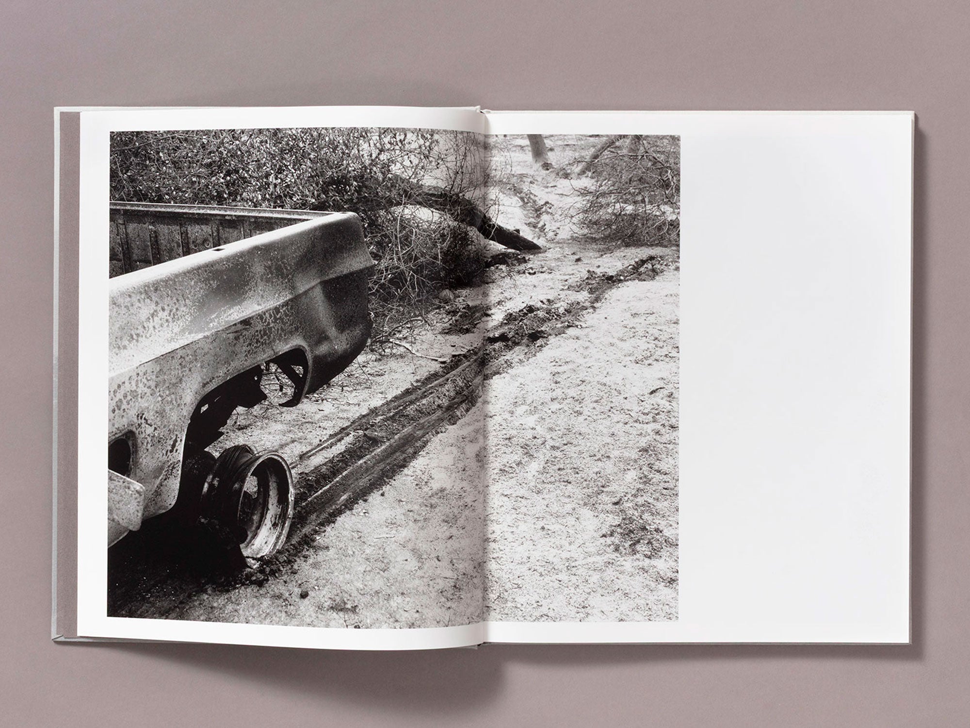 Special Edition / The Weight Of Ash - Ian Bates