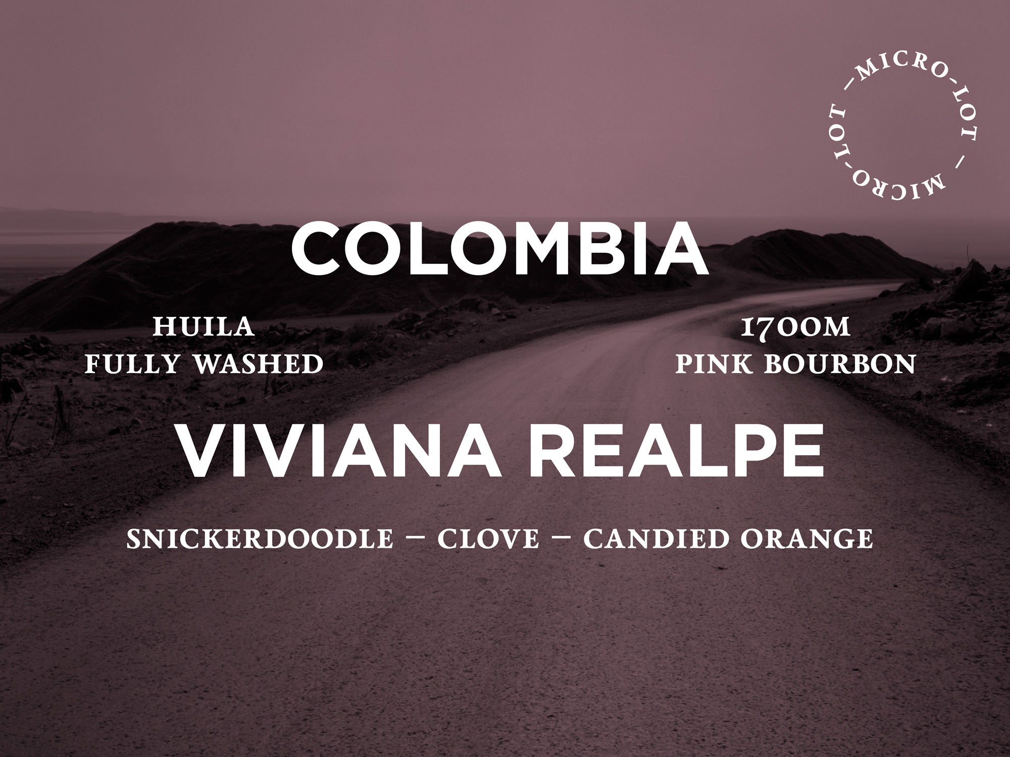 Colombia - Viviana Realpe