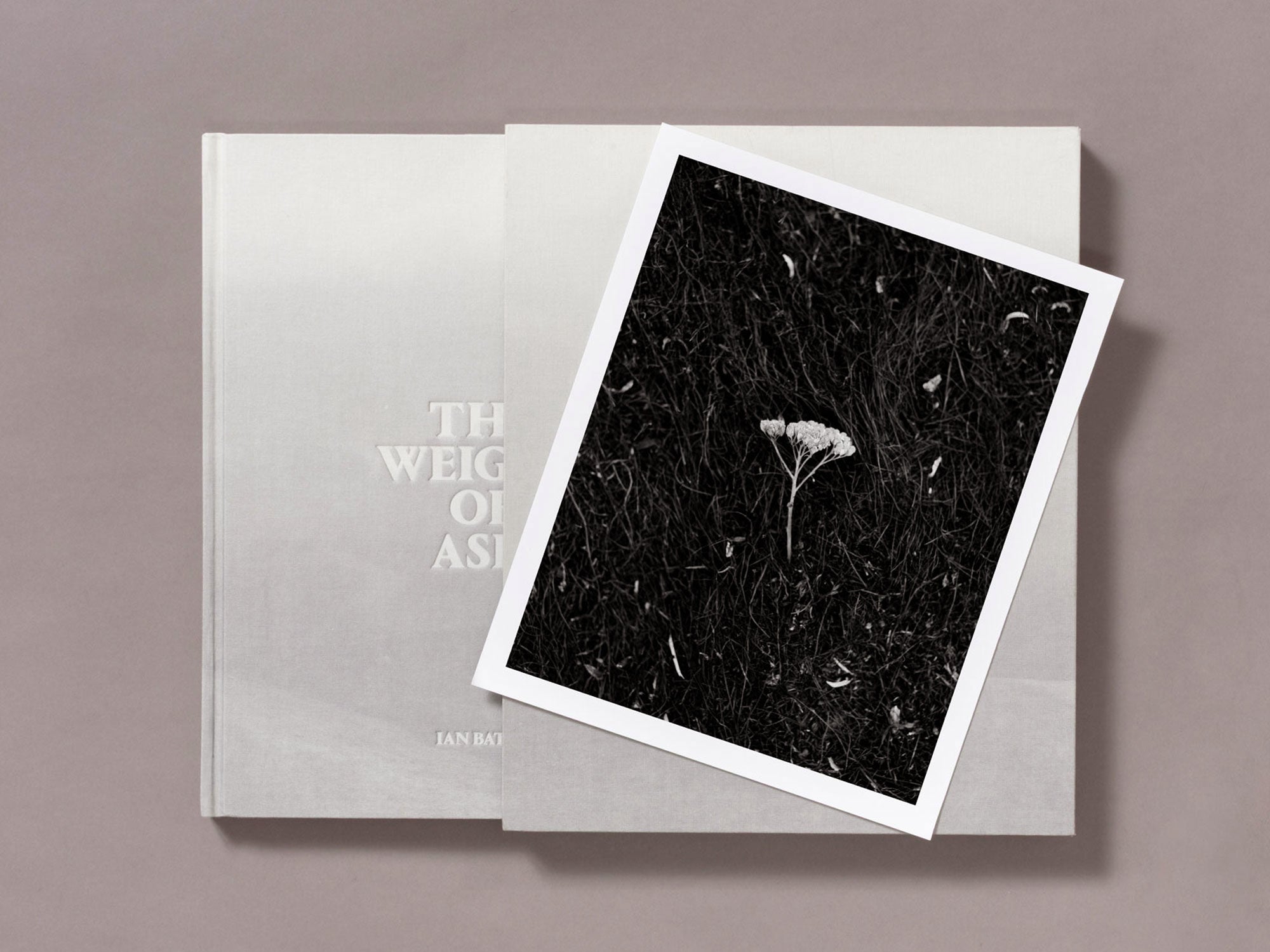 Special Edition / The Weight Of Ash - Ian Bates