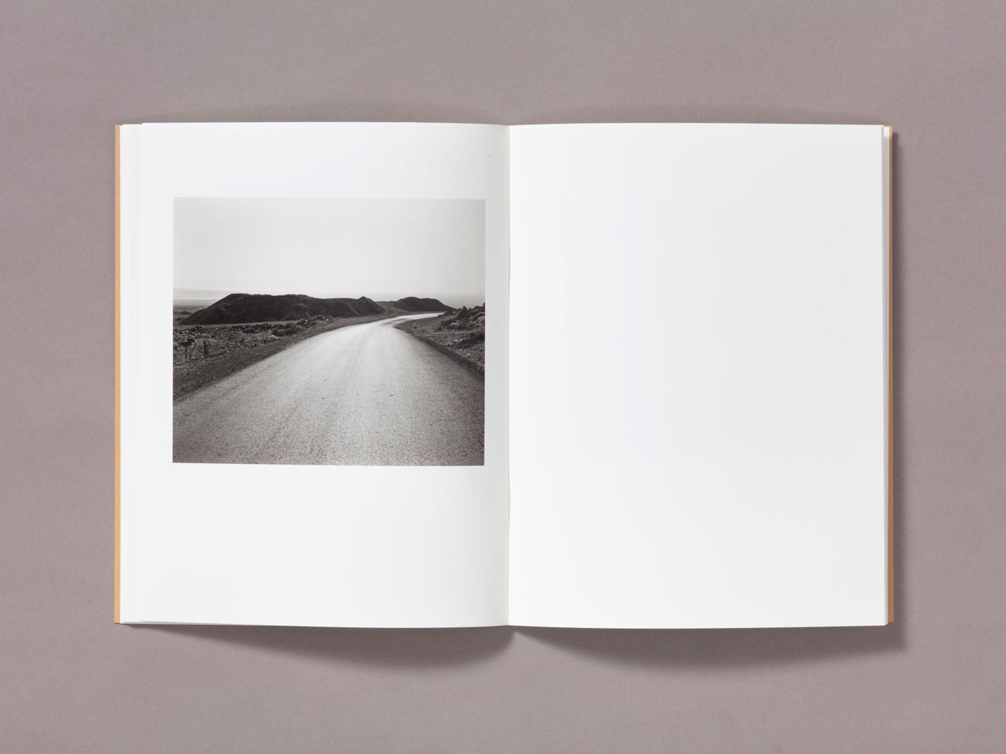 1987 - Toshio Shibata