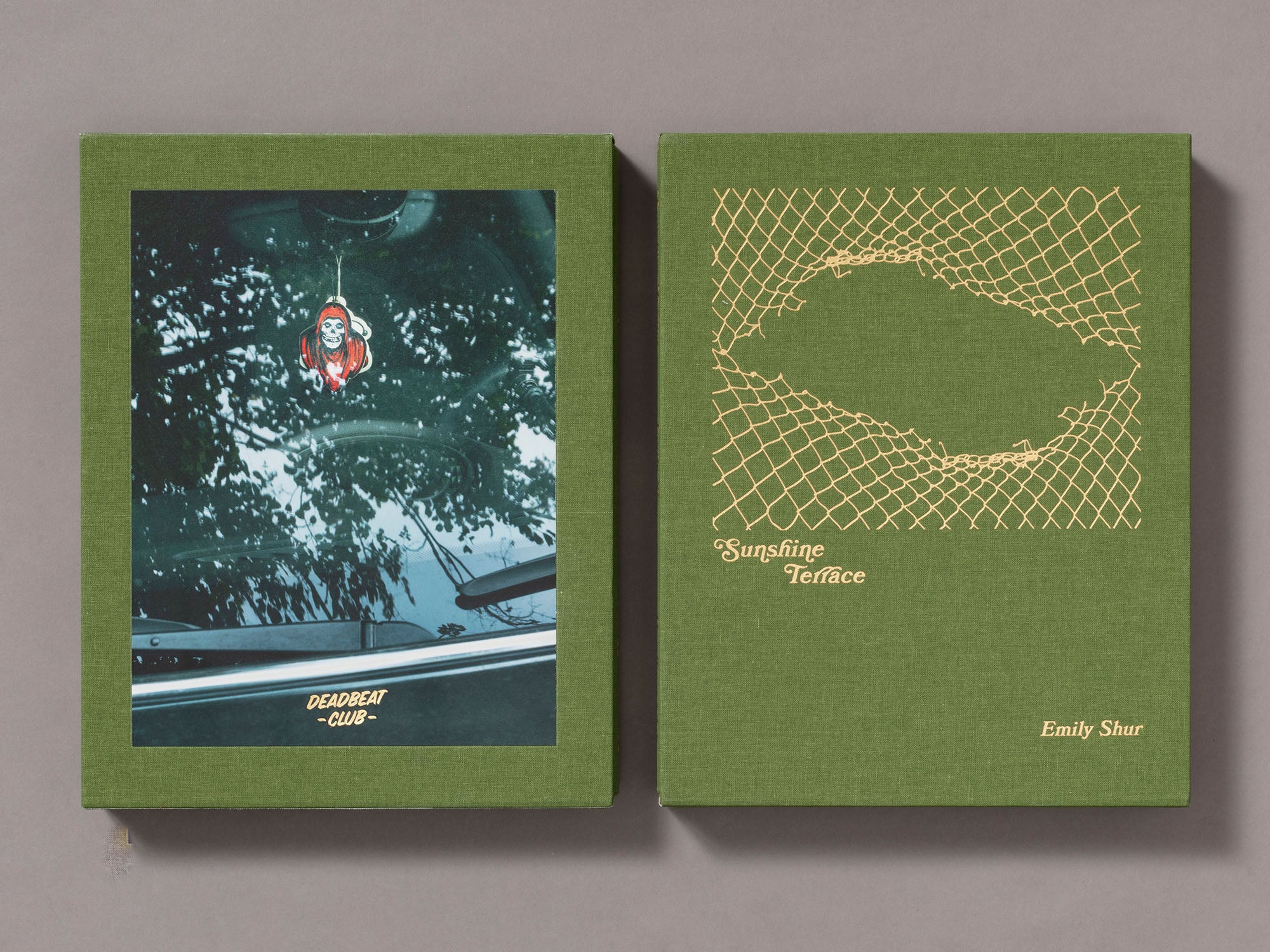 Special Edition / Sunshine Terrace - Emily Shur