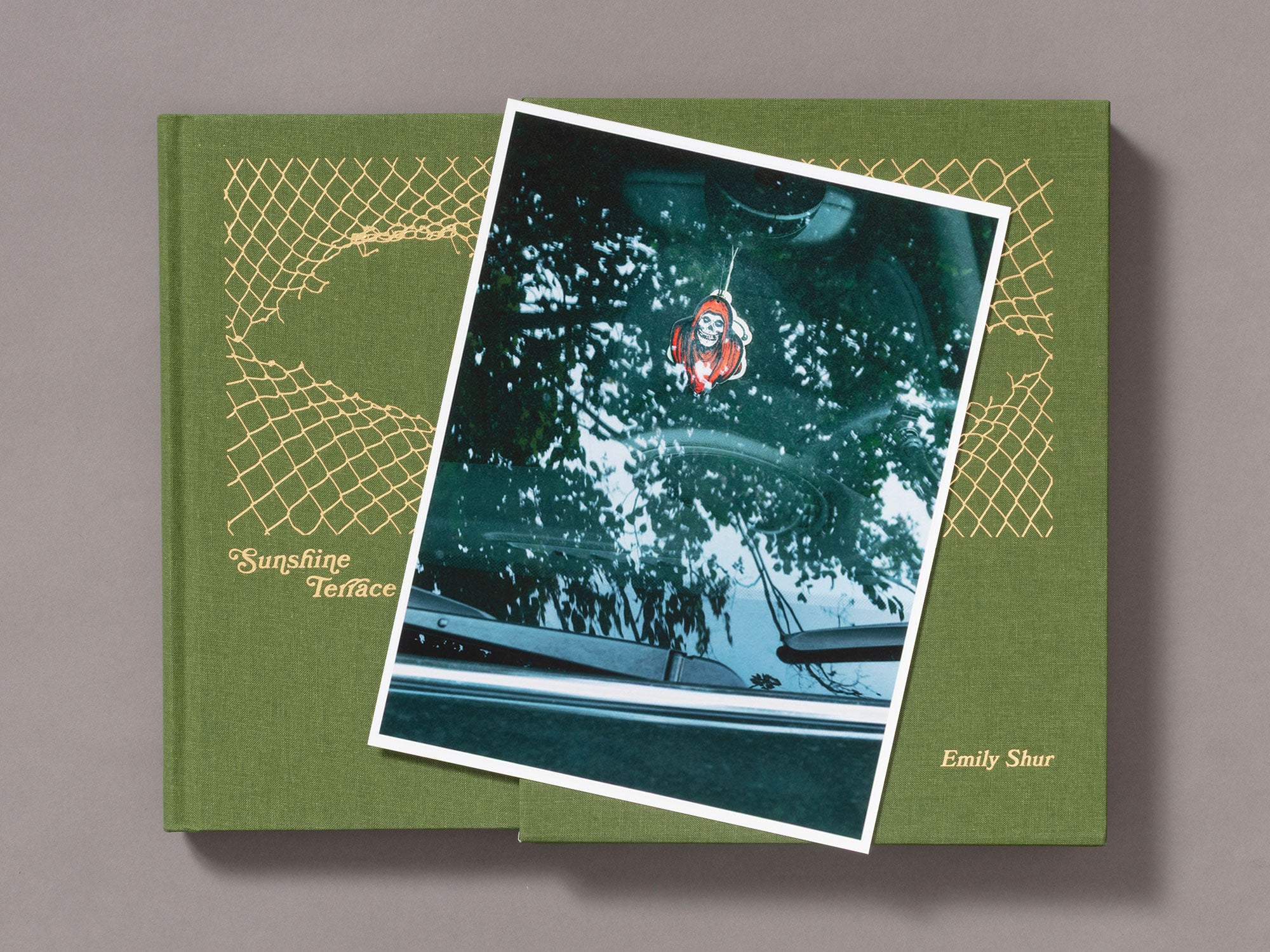 Special Edition / Sunshine Terrace - Emily Shur