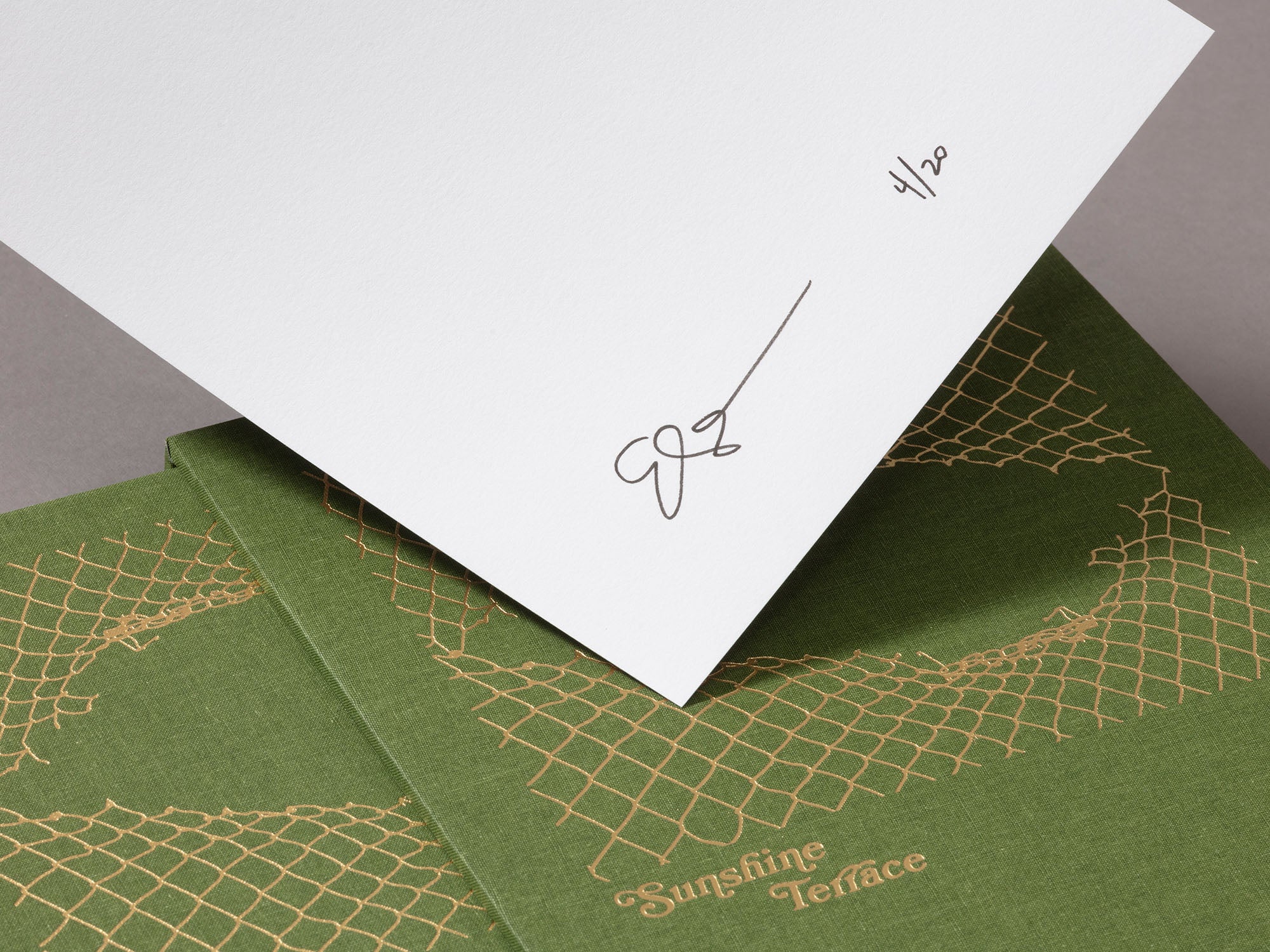 Special Edition / Sunshine Terrace - Emily Shur