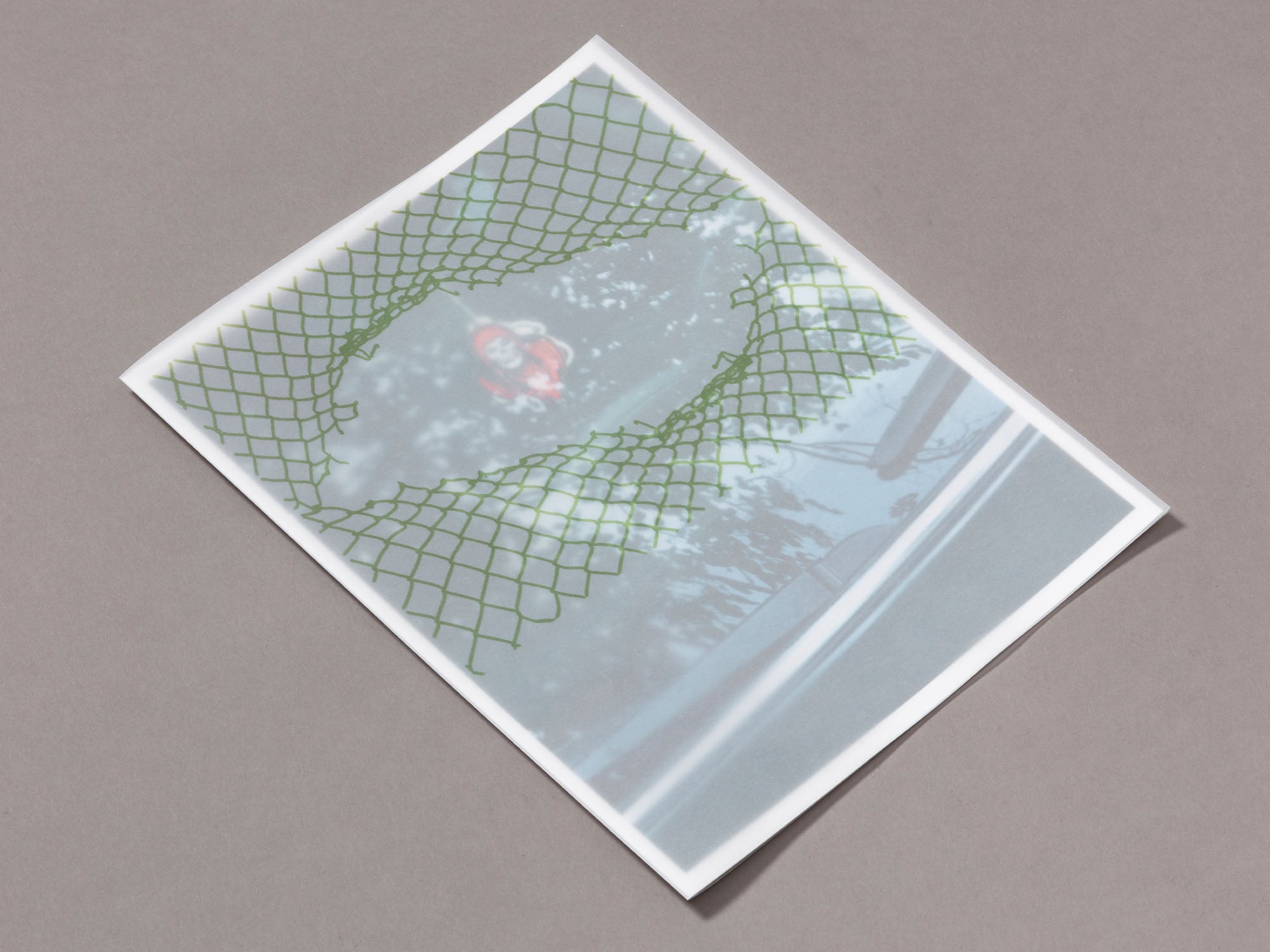 Special Edition / Sunshine Terrace - Emily Shur