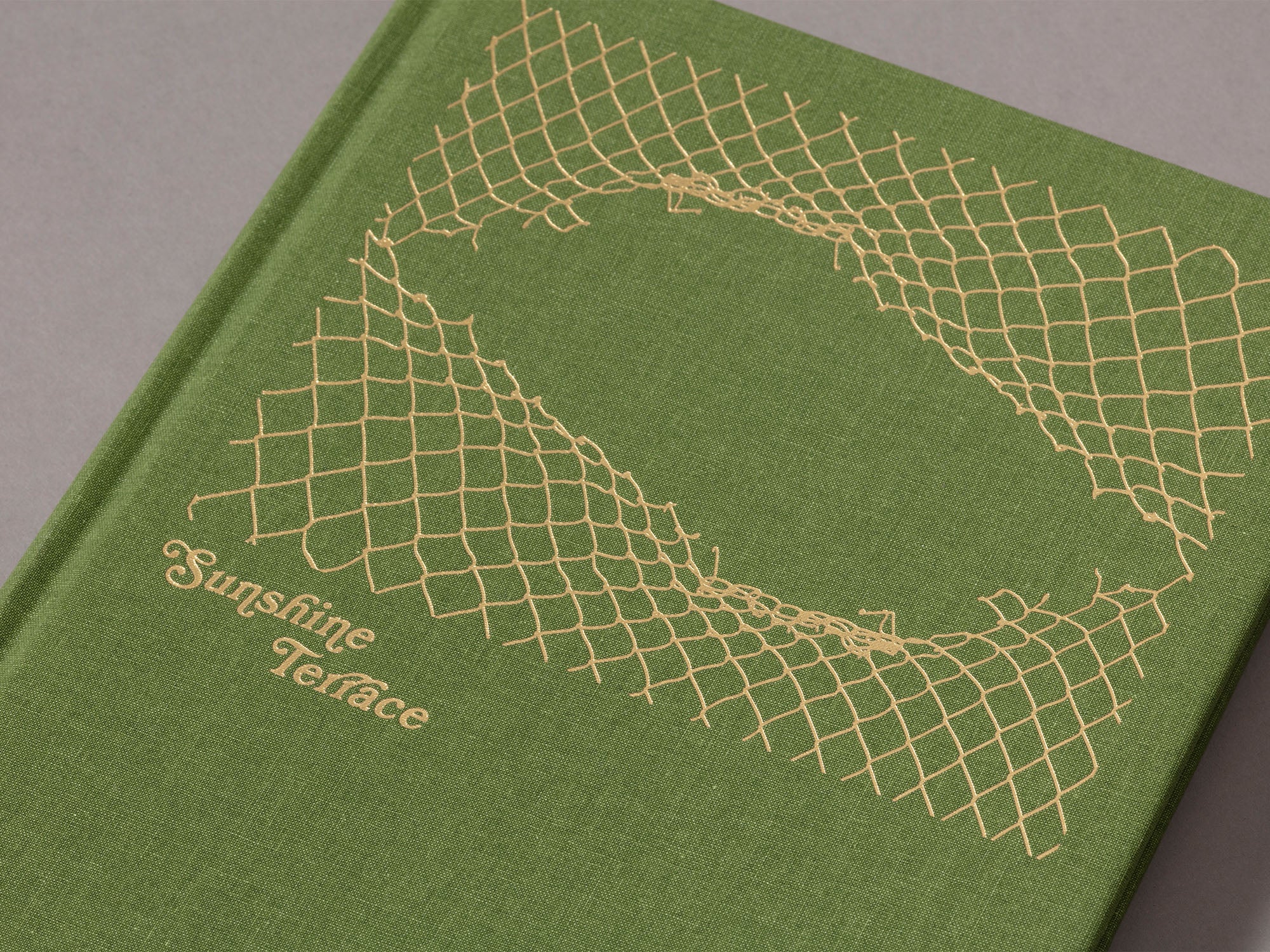 Sunshine Terrace - Emily Shur