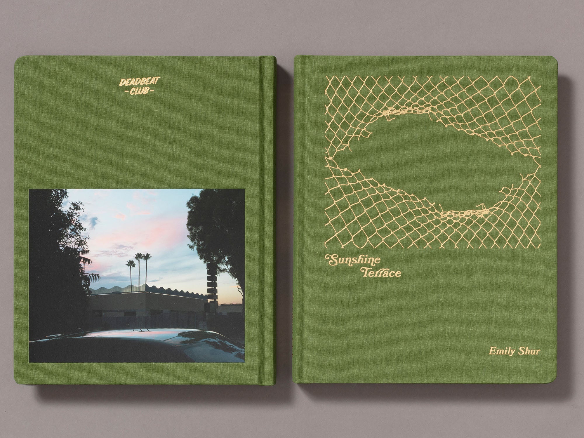 Sunshine Terrace - Emily Shur