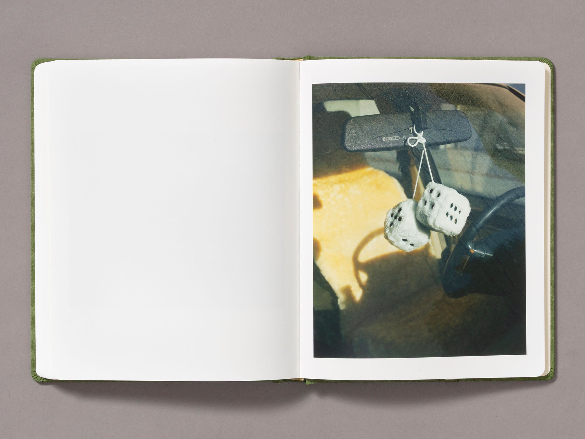 Sunshine Terrace - Emily Shur