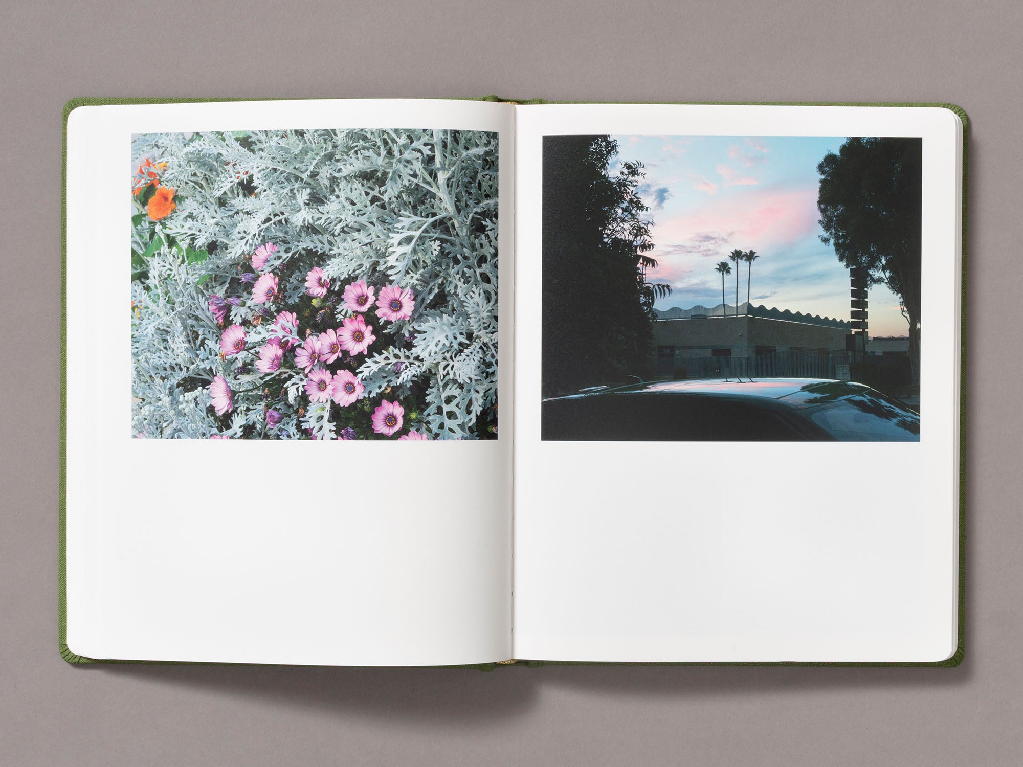 Sunshine Terrace - Emily Shur