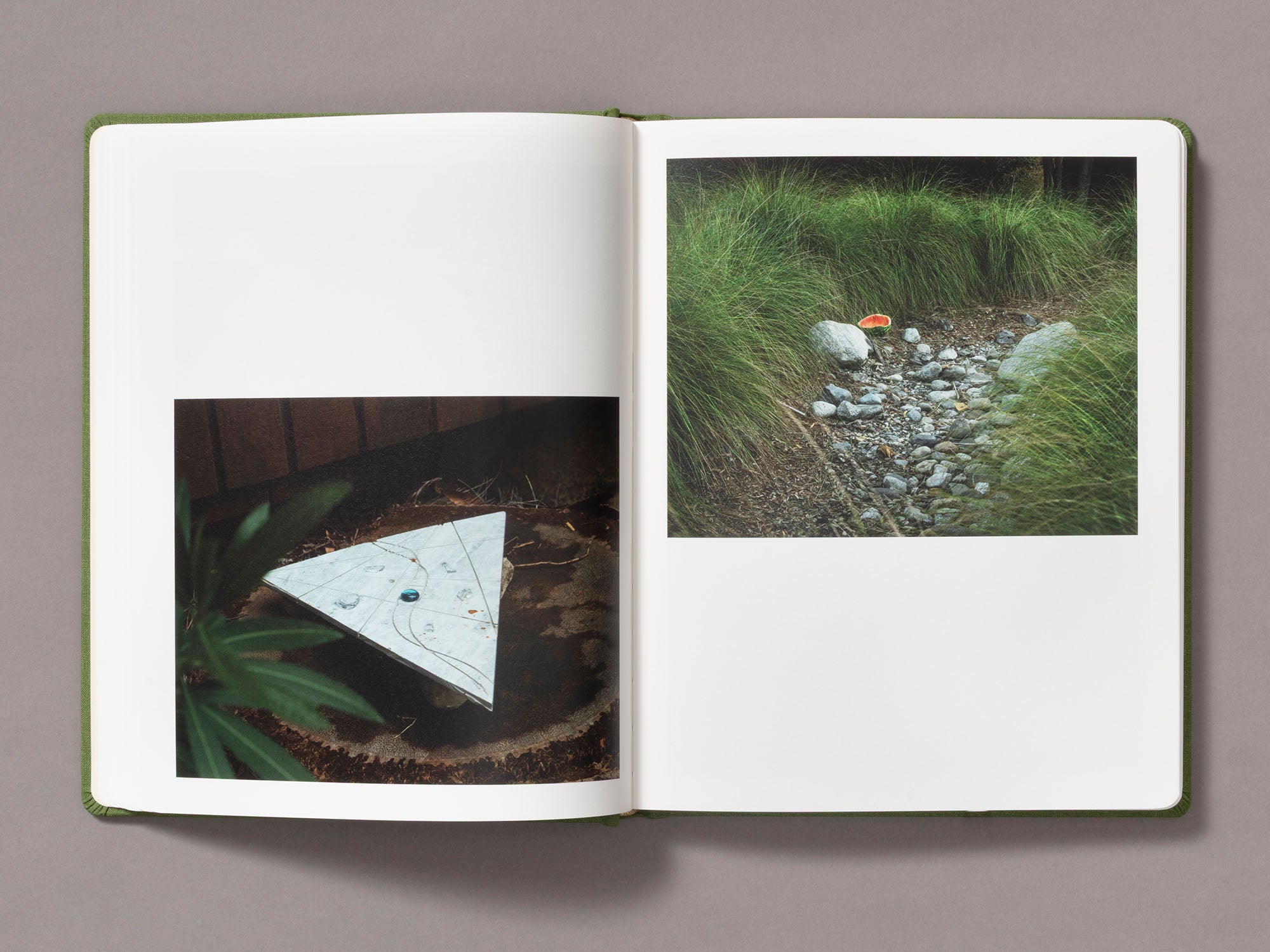 Sunshine Terrace - Emily Shur