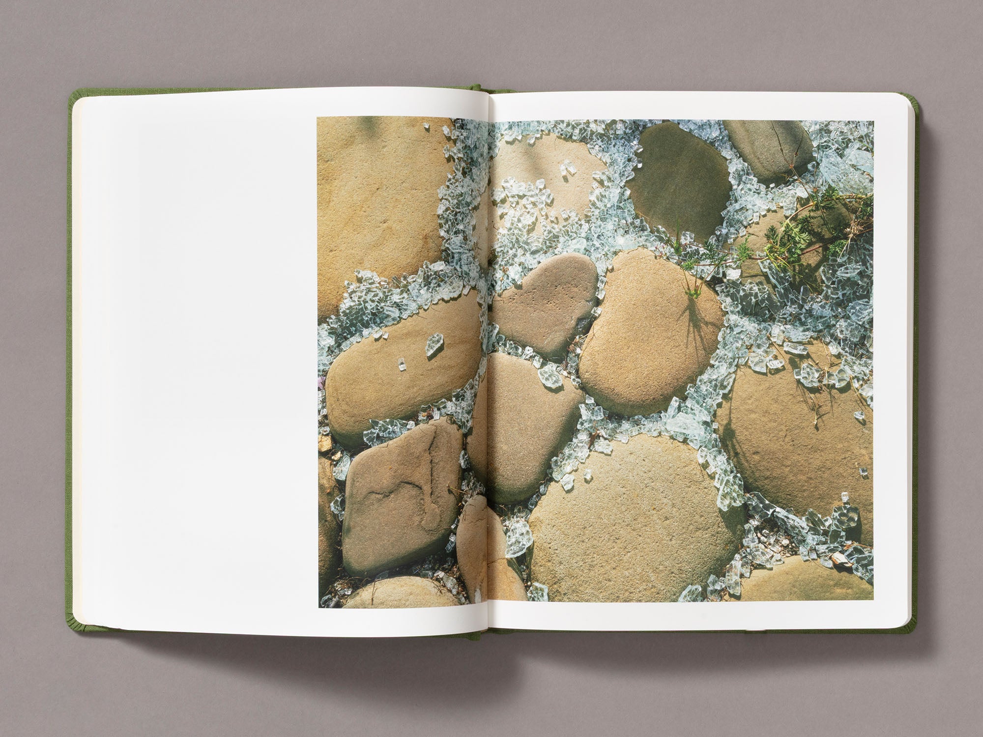 Sunshine Terrace - Emily Shur