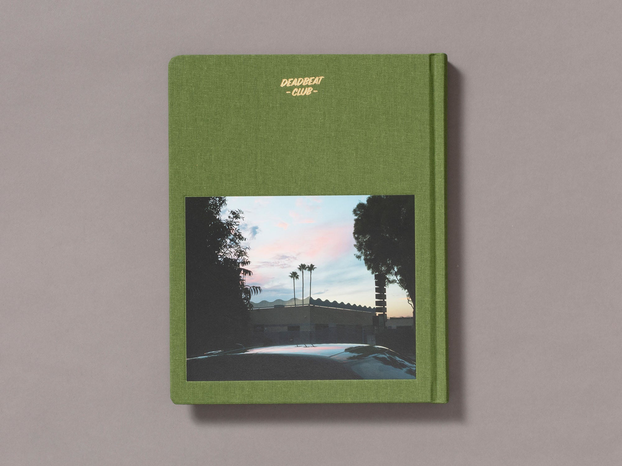 Special Edition / Sunshine Terrace - Emily Shur