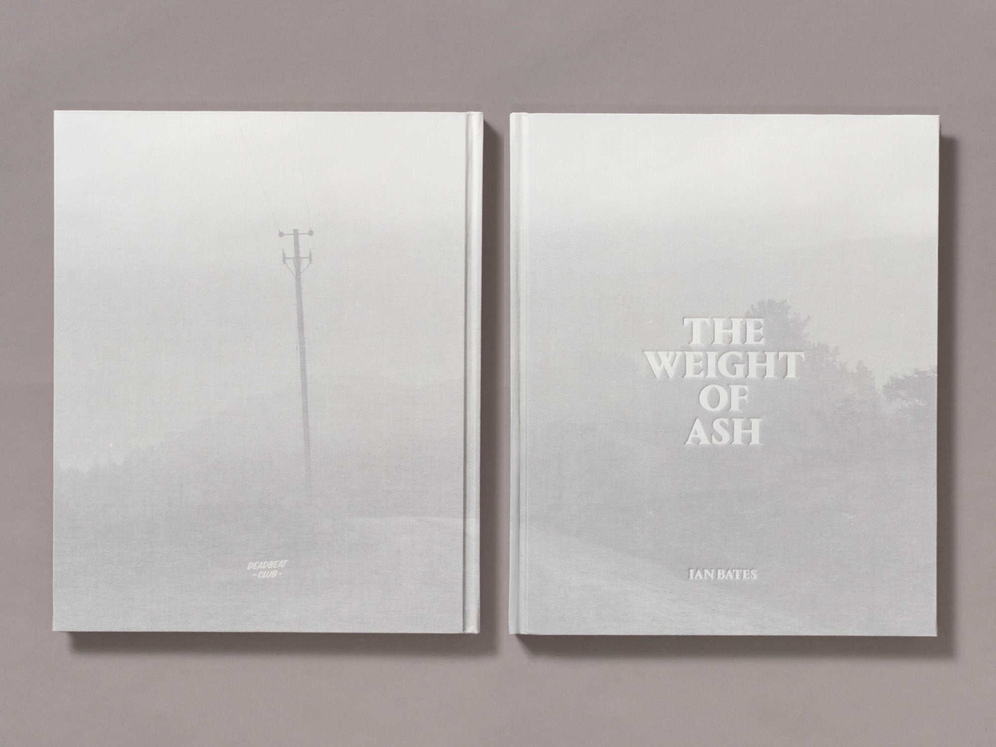 The Weight Of Ash - Ian Bates