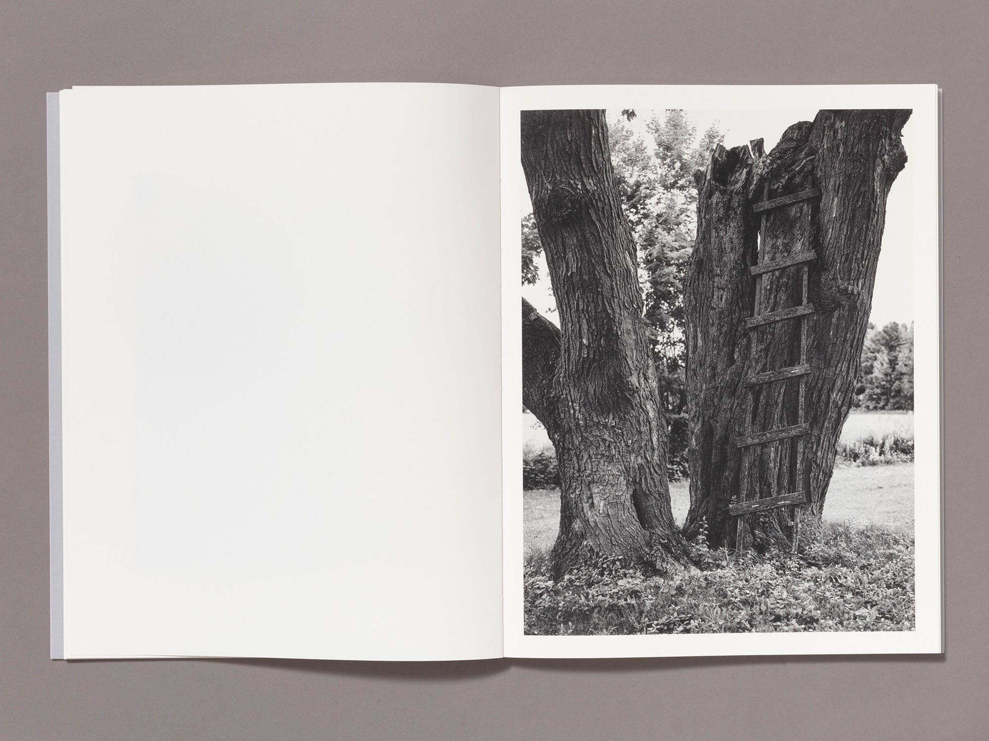 Special Edition / Entangled & Resurfacing Set - Maude Arsenault