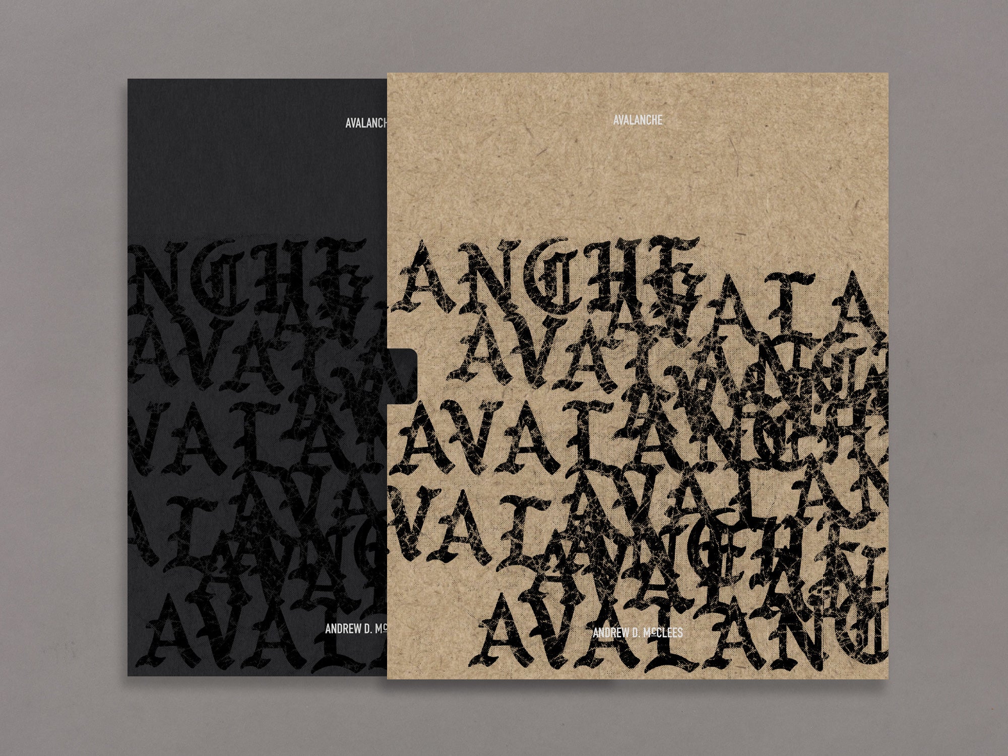 Special Edition / Avalanche - Andrew D. McClees