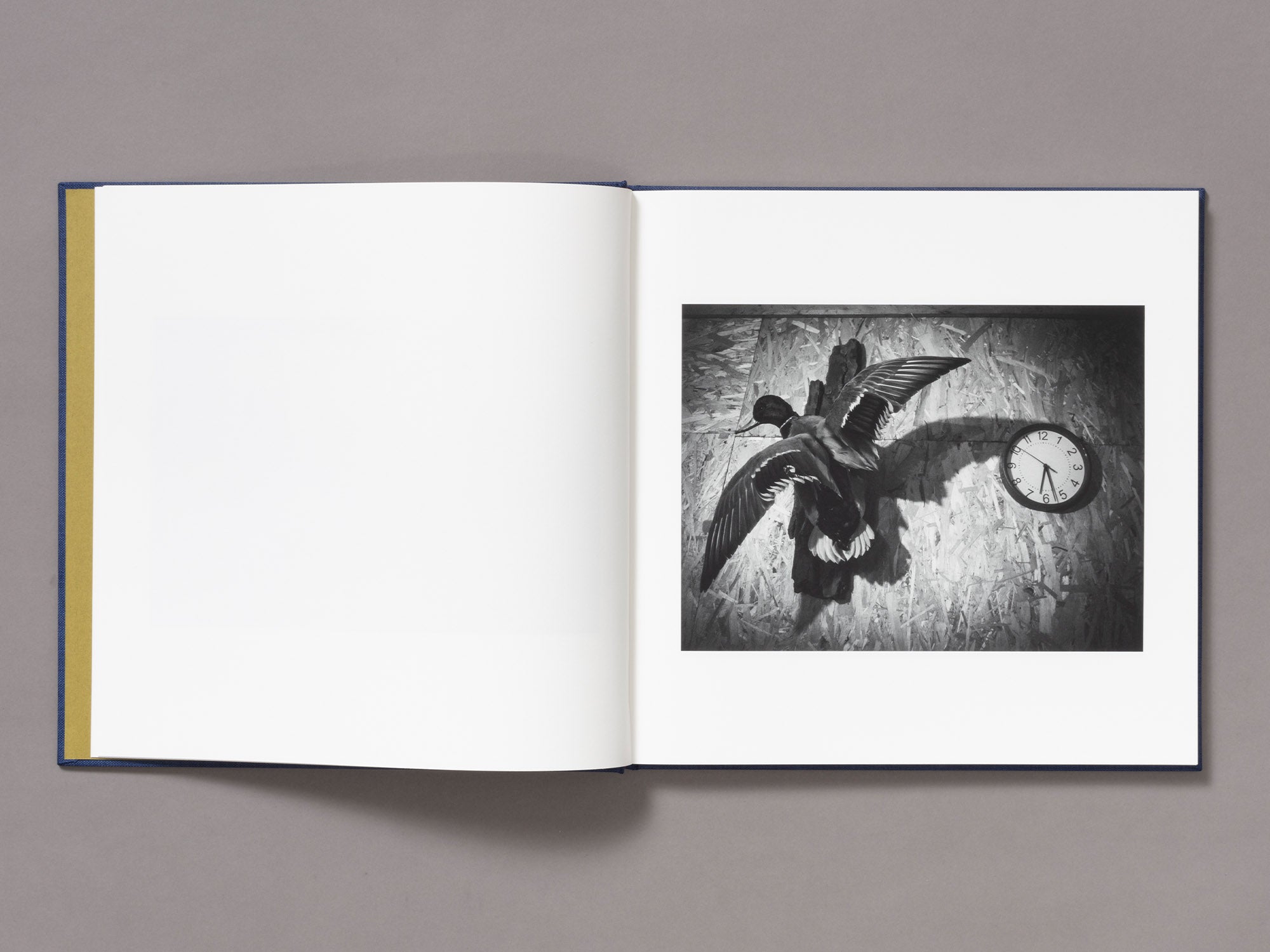 High & Lonesome - Nathan Pearce