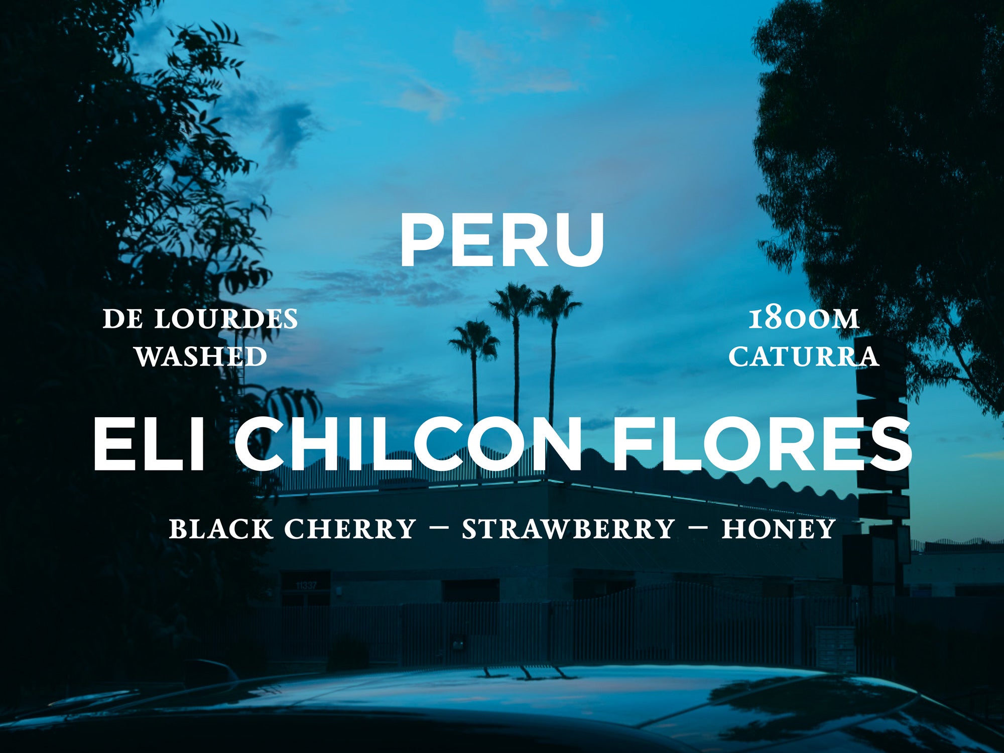 Peru - Eli Chilcon Flores