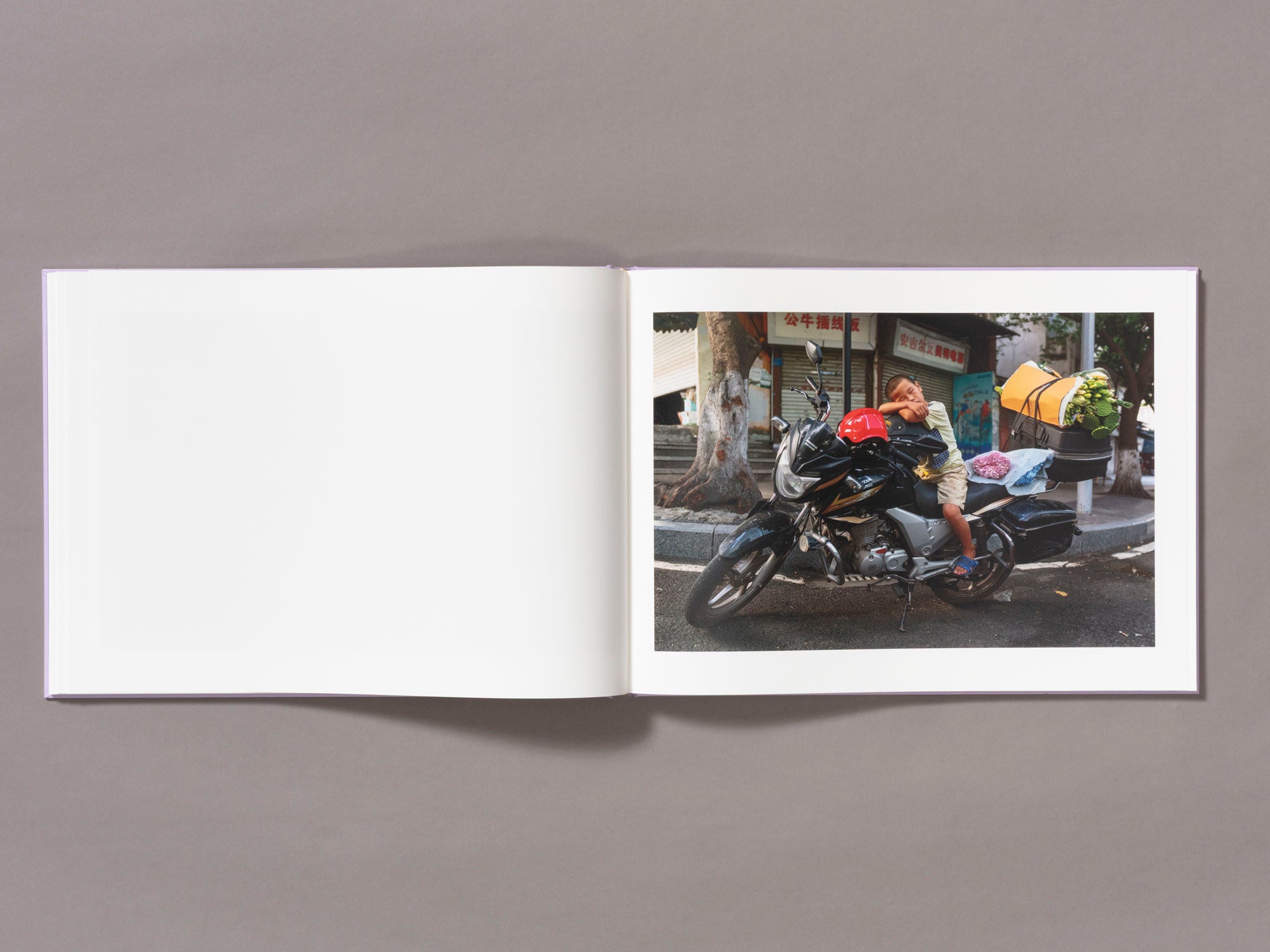 Special Edition / Mother's Land - Daniel Lee Postaer