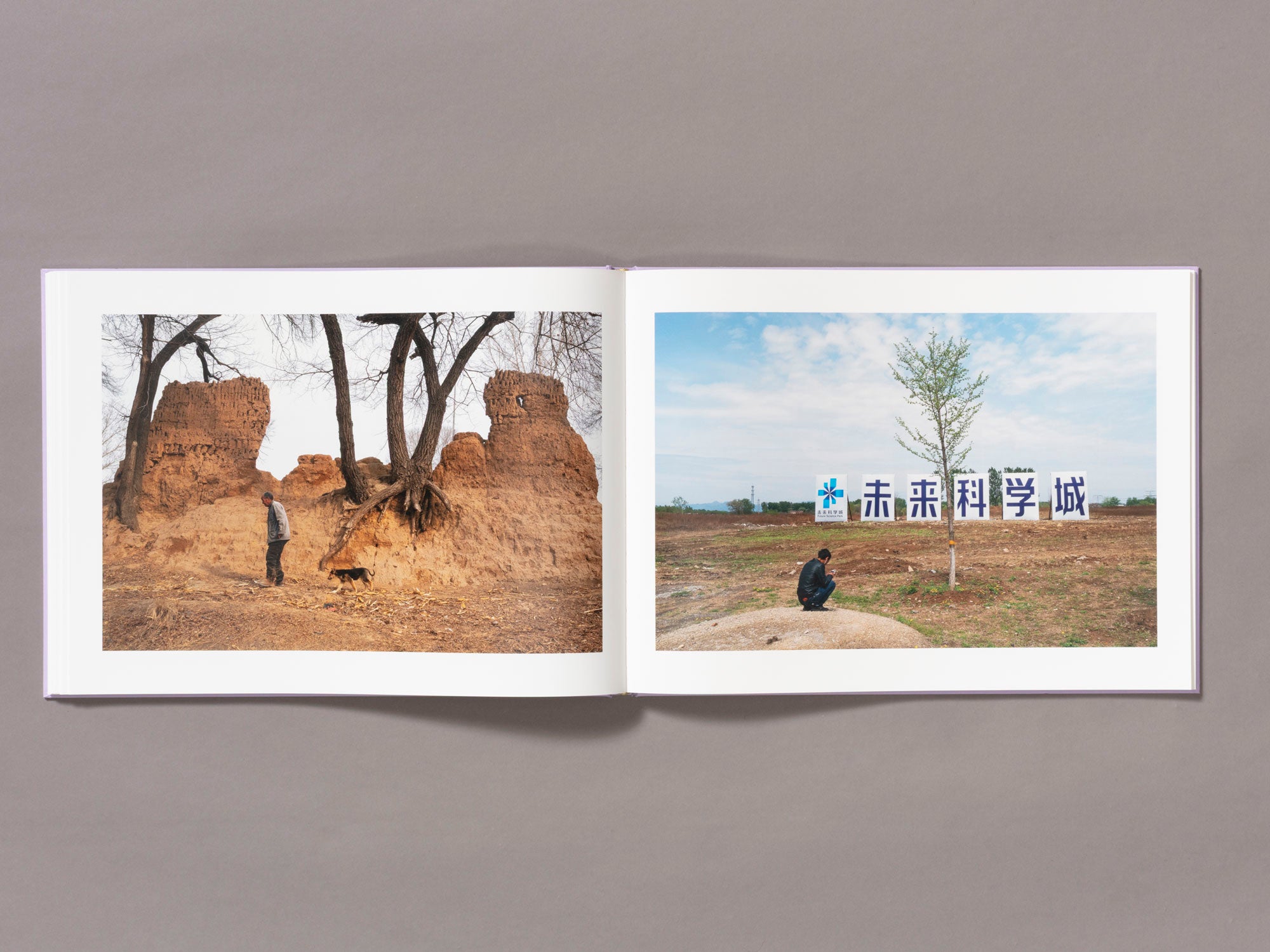 Mother's Land - Daniel Lee Postaer