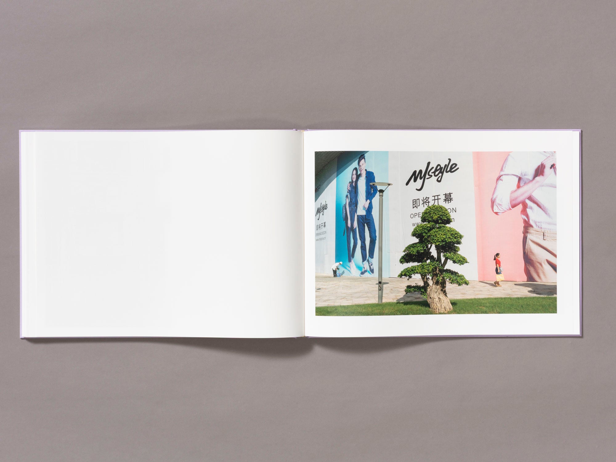 Special Edition / Mother's Land - Daniel Lee Postaer