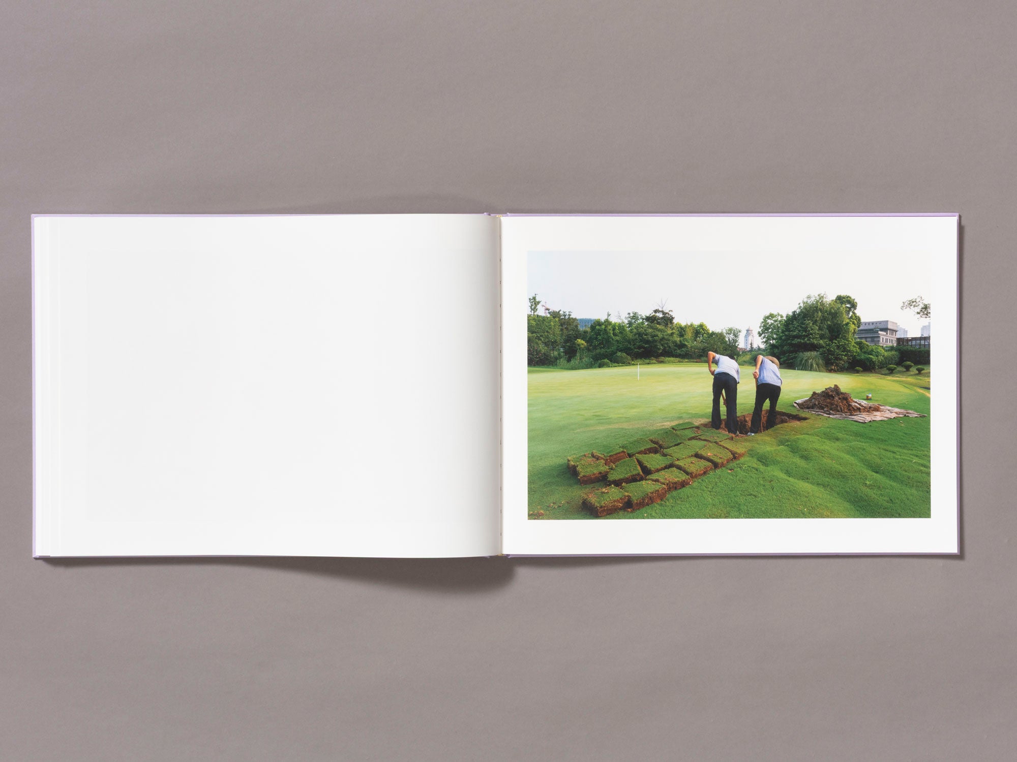 Special Edition / Mother's Land - Daniel Lee Postaer