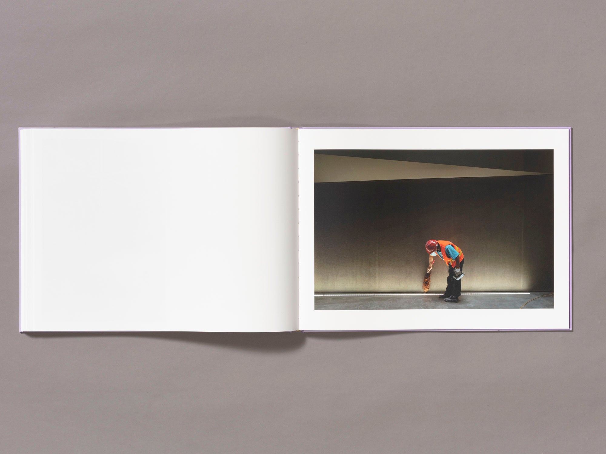 Special Edition / Mother's Land - Daniel Lee Postaer