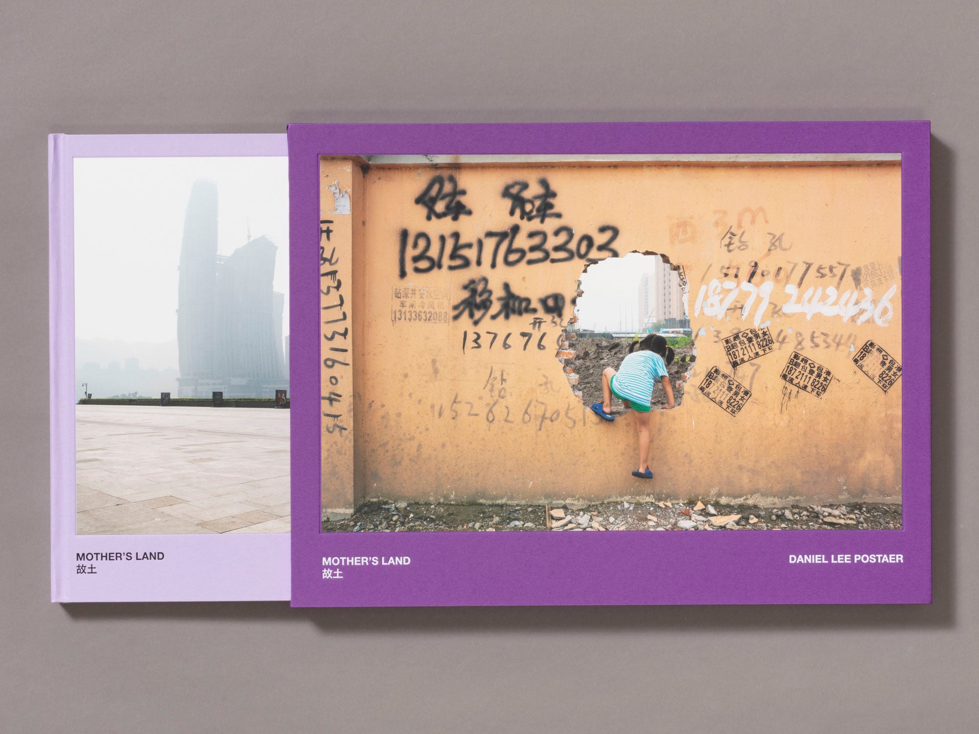 Special Edition / Mother's Land - Daniel Lee Postaer