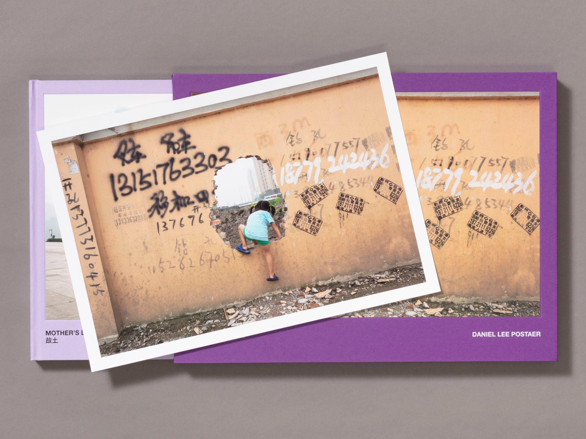 Special Edition / Mother's Land - Daniel Lee Postaer