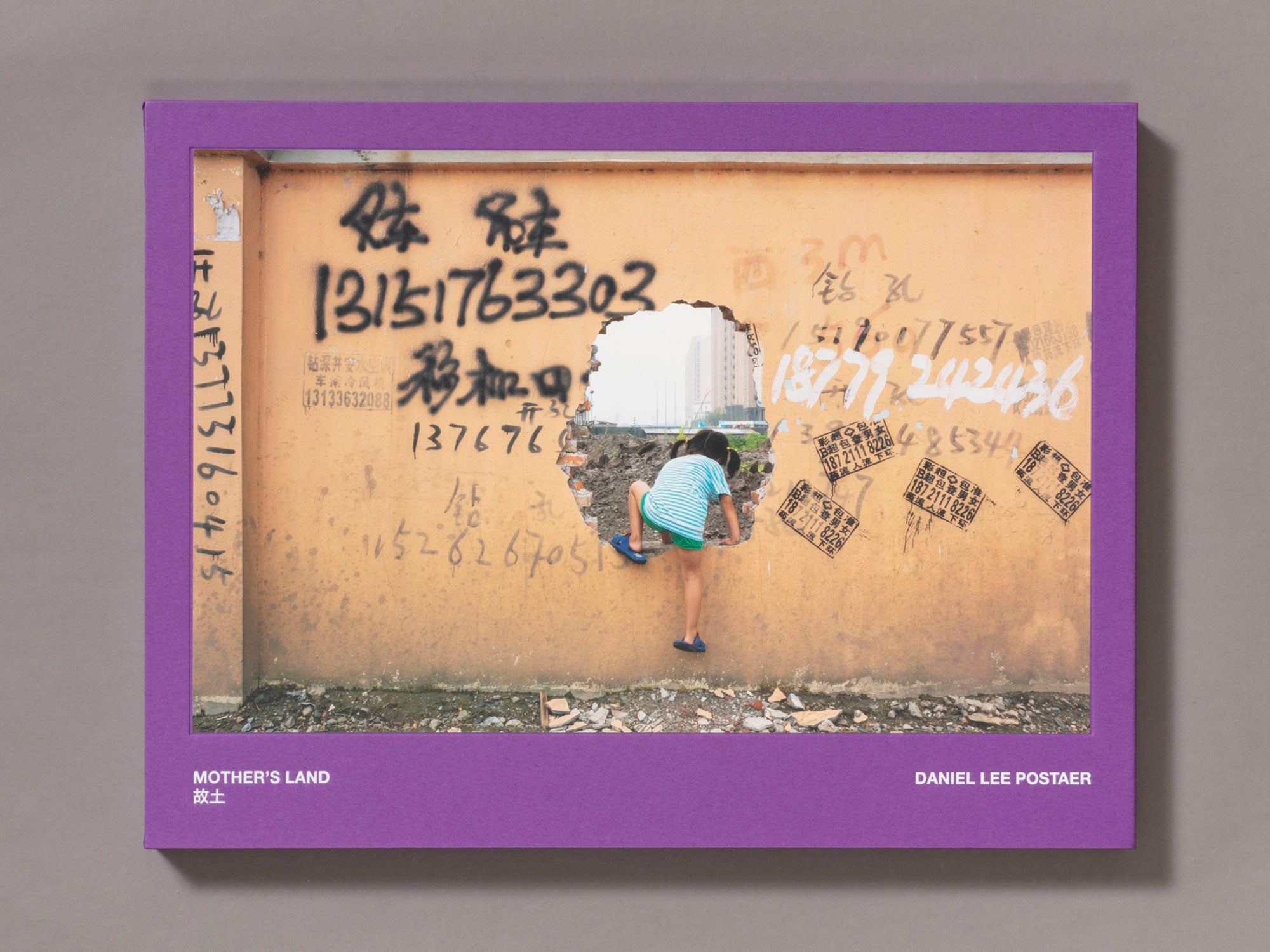 Special Edition / Mother's Land - Daniel Lee Postaer